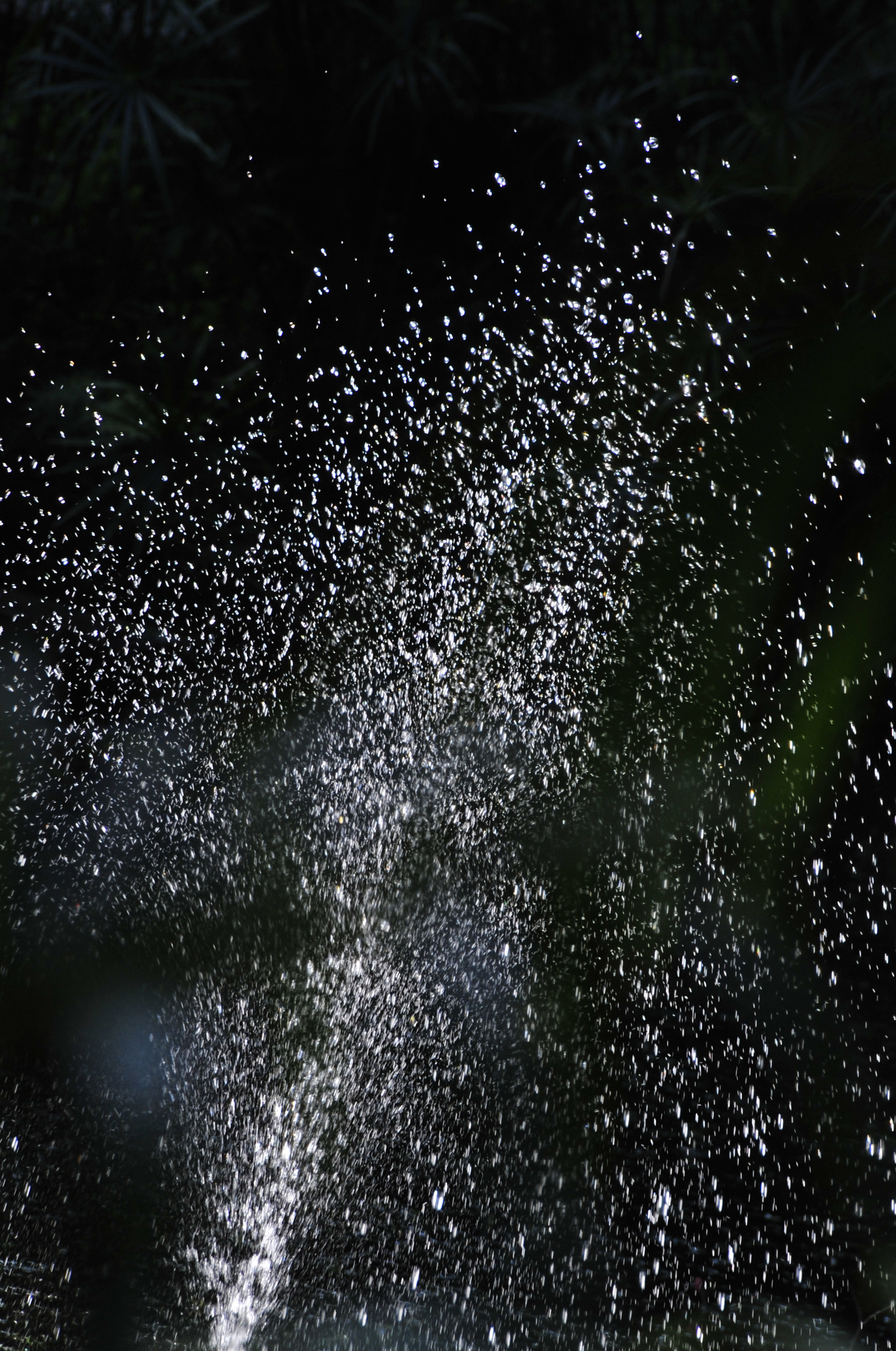 Nikon D3 sample photo. .. photography