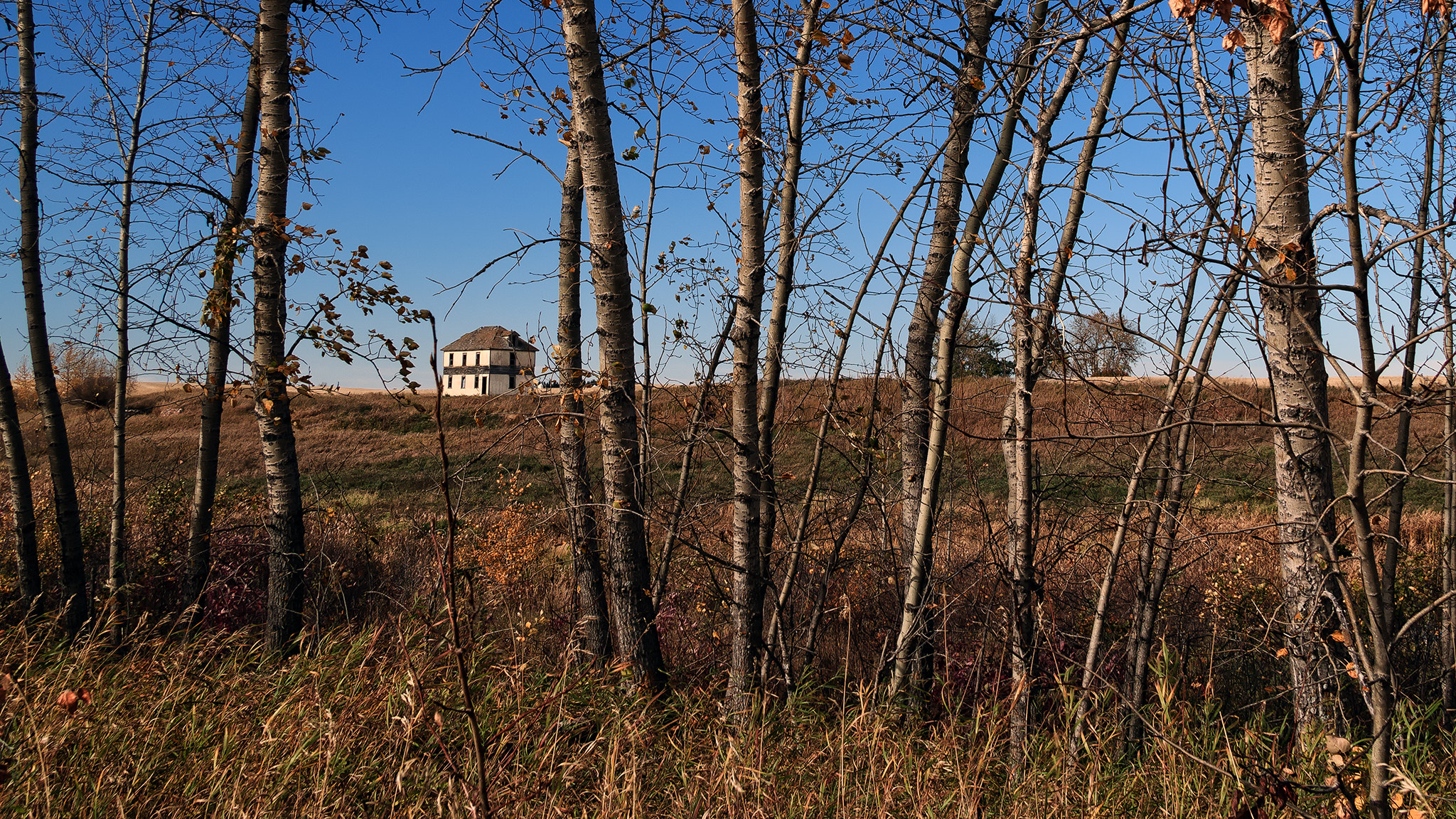 Canon EF-S 17-85mm F4-5.6 IS USM sample photo. Journey to the fall palace... photography
