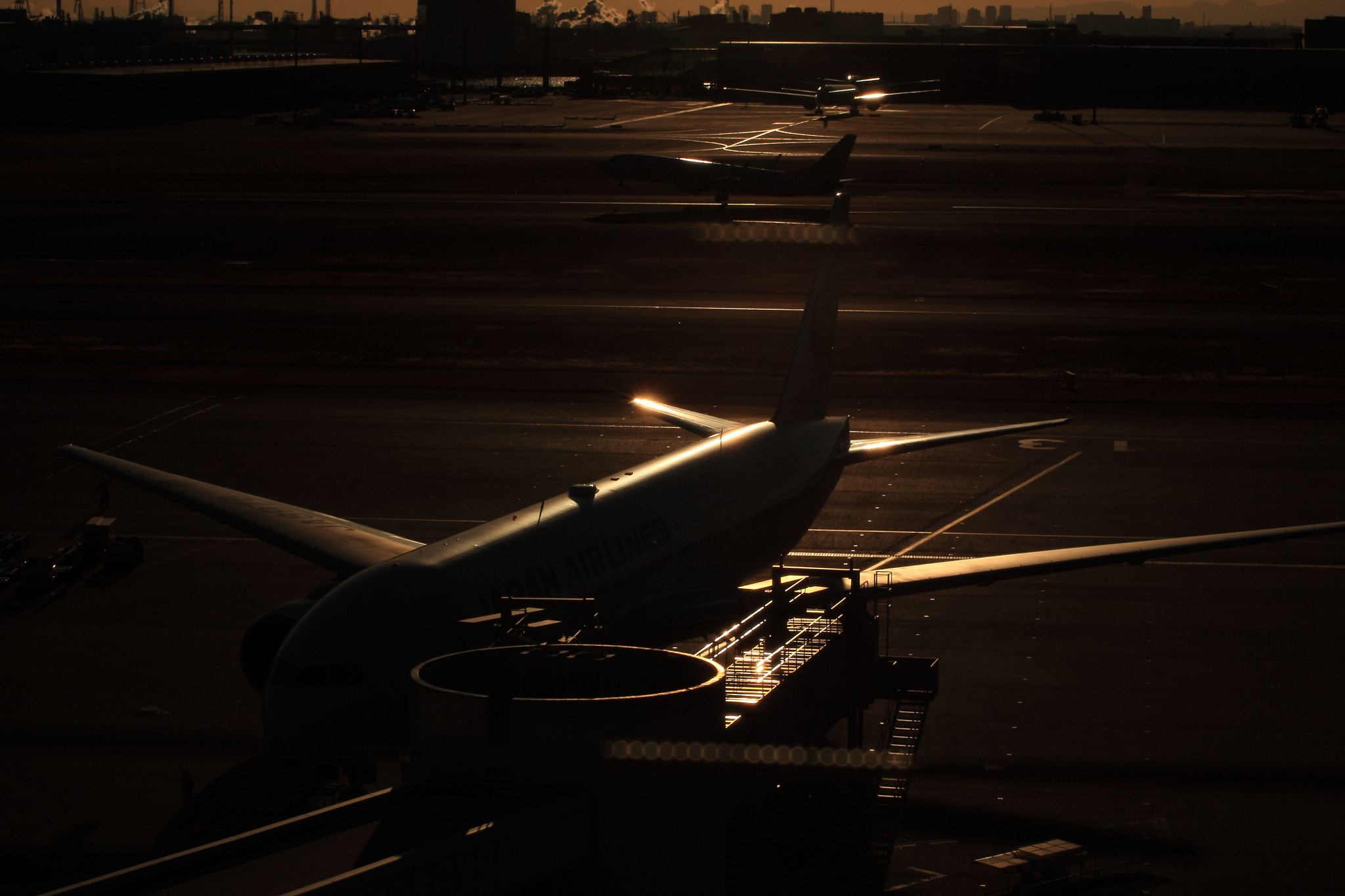 Canon EOS-1D Mark III sample photo. Ja8978 photography