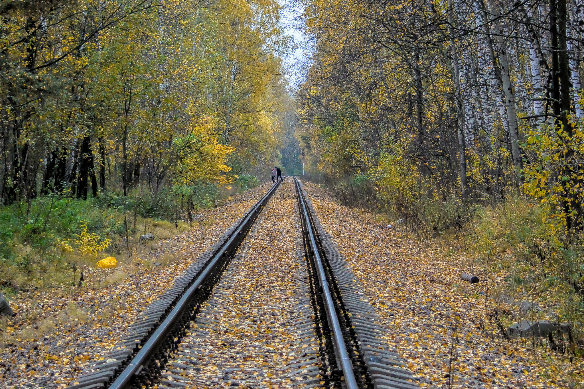 Nikon 1 V2 sample photo. ...Зовущая в даль ..... photography