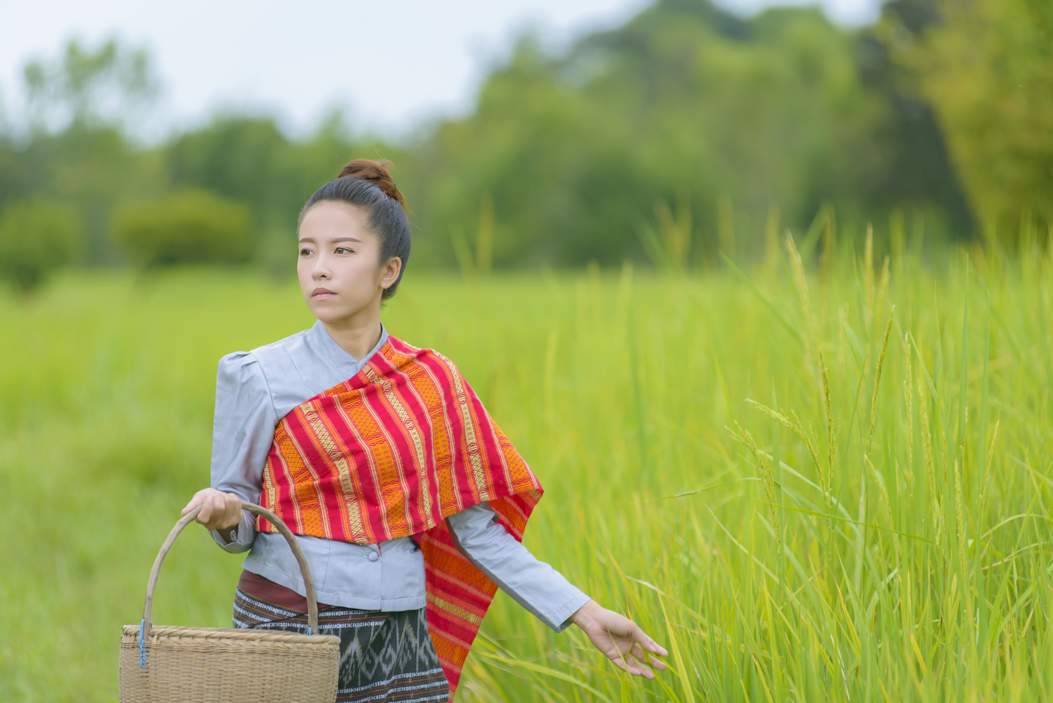 Nikon AF-Nikkor 80-200mm F2.8D ED sample photo. Asian girl and green paddy fields photography