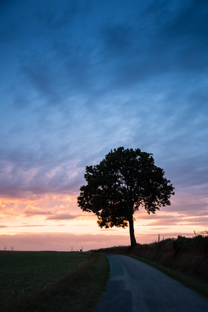 Canon EF 28-105mm F4.0-5.6 USM sample photo. Road to sunset photography