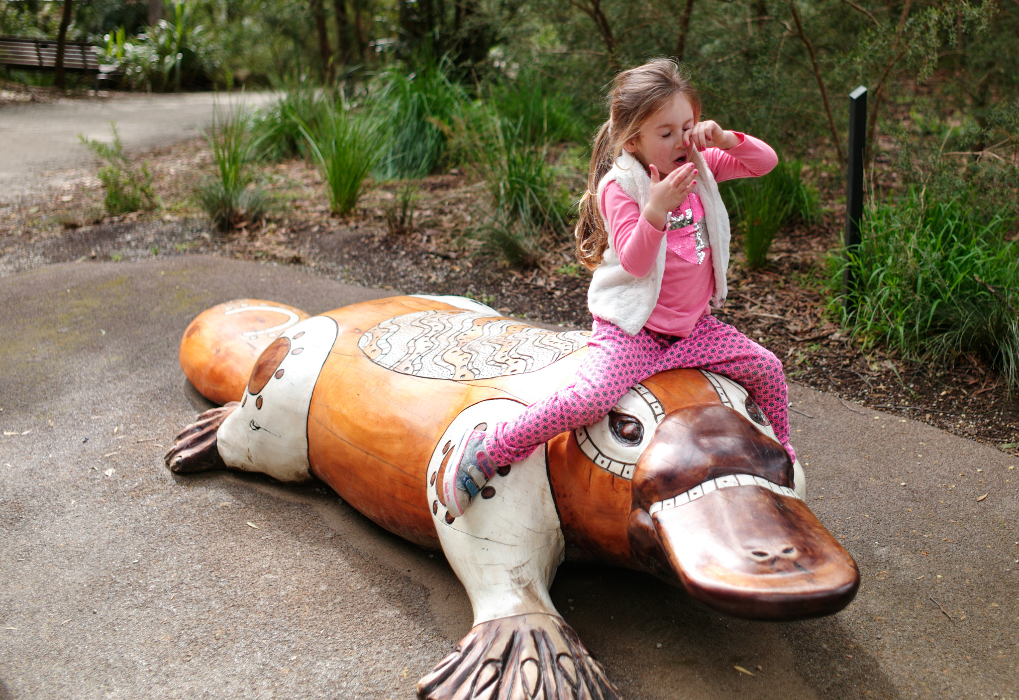 Leica M9 + Leica Summicron-M 35mm F2 ASPH sample photo. In healesville sanctuary photography