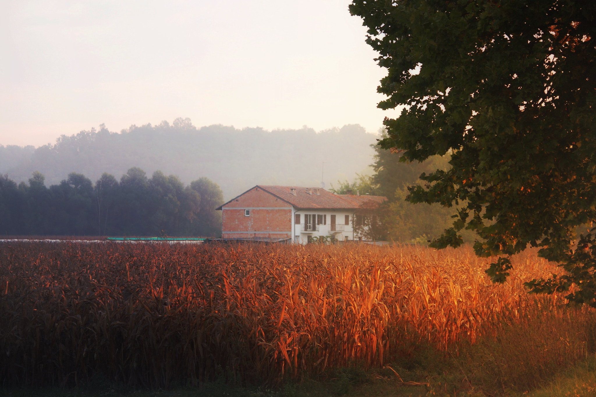 Canon EF-S 55-250mm F4-5.6 IS II sample photo. Autumn photography