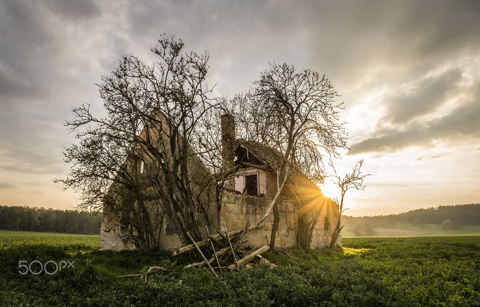 Sony a6000 sample photo. The old house in the meadow photography