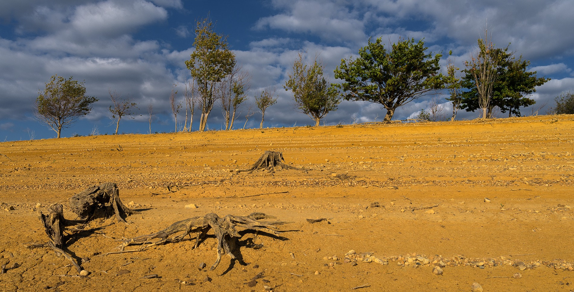 Nikon D600 + Nikon AF-S Nikkor 28mm F1.8G sample photo. La mort de la terre. photography