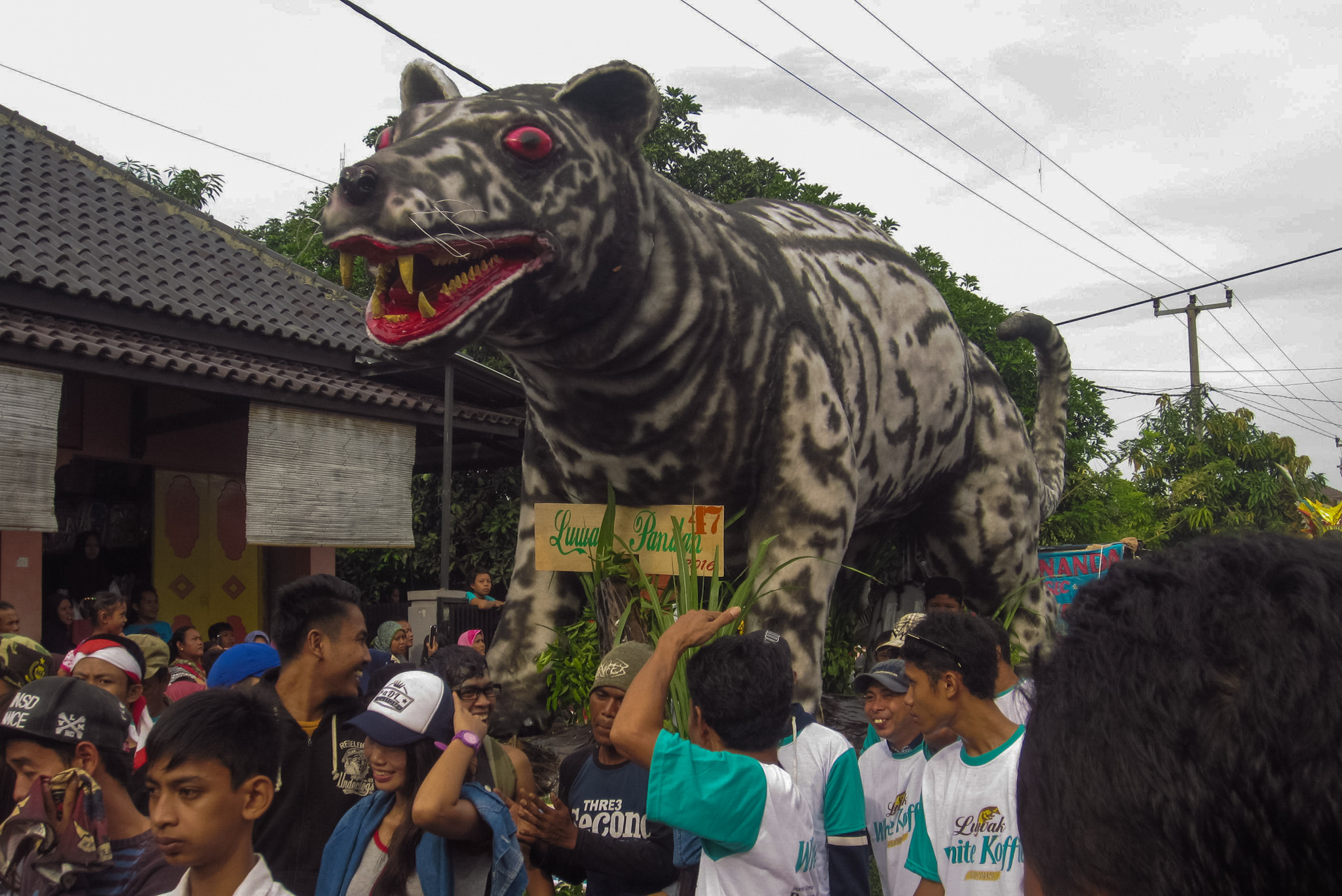 Canon PowerShot ELPH 300 HS (IXUS 220 HS / IXY 410F) sample photo. Luwak pandan photography