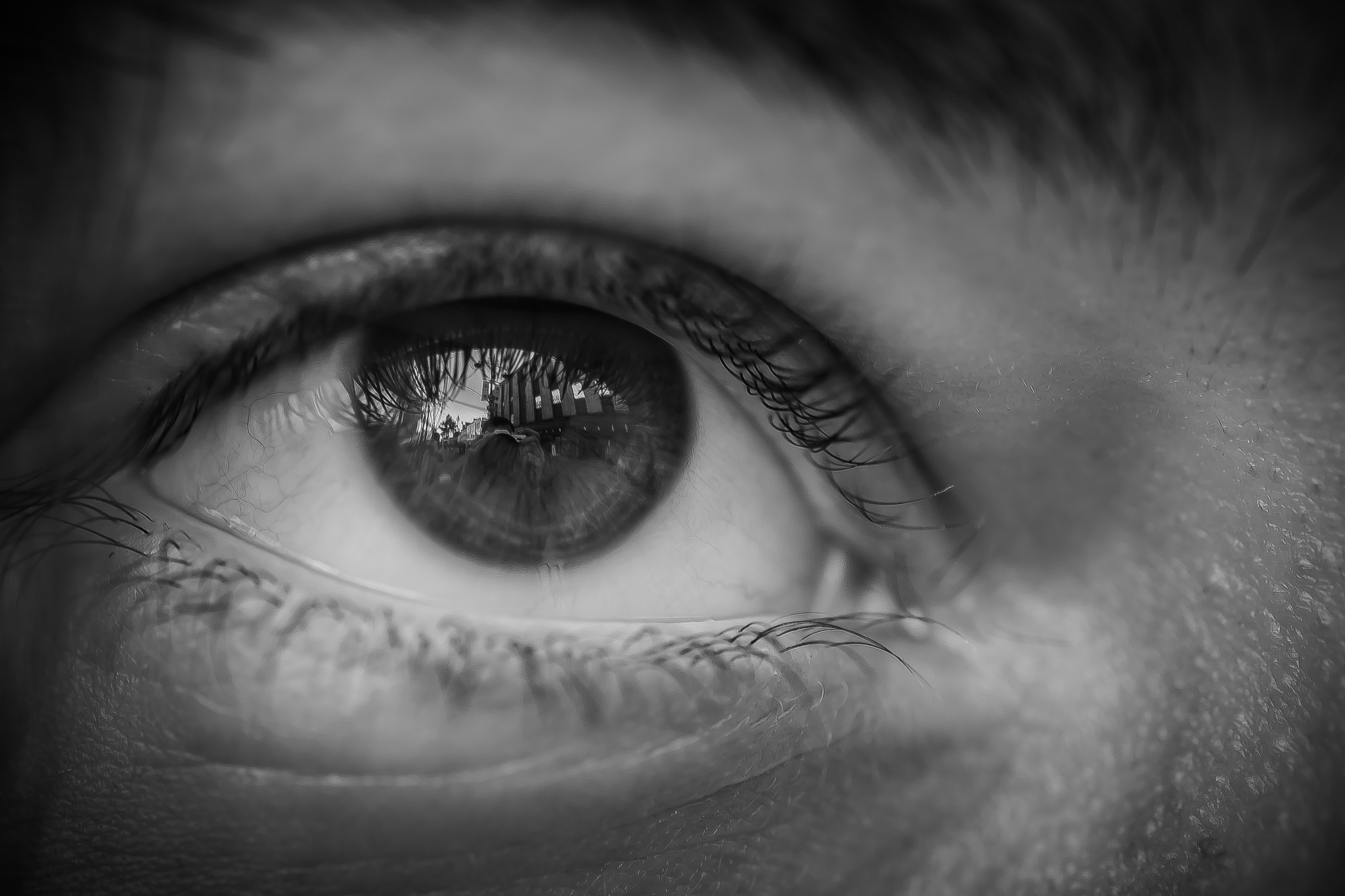 Fujifilm X-T10 + Fujifilm XF 60mm F2.4 R Macro sample photo. See the world through her eyes photography