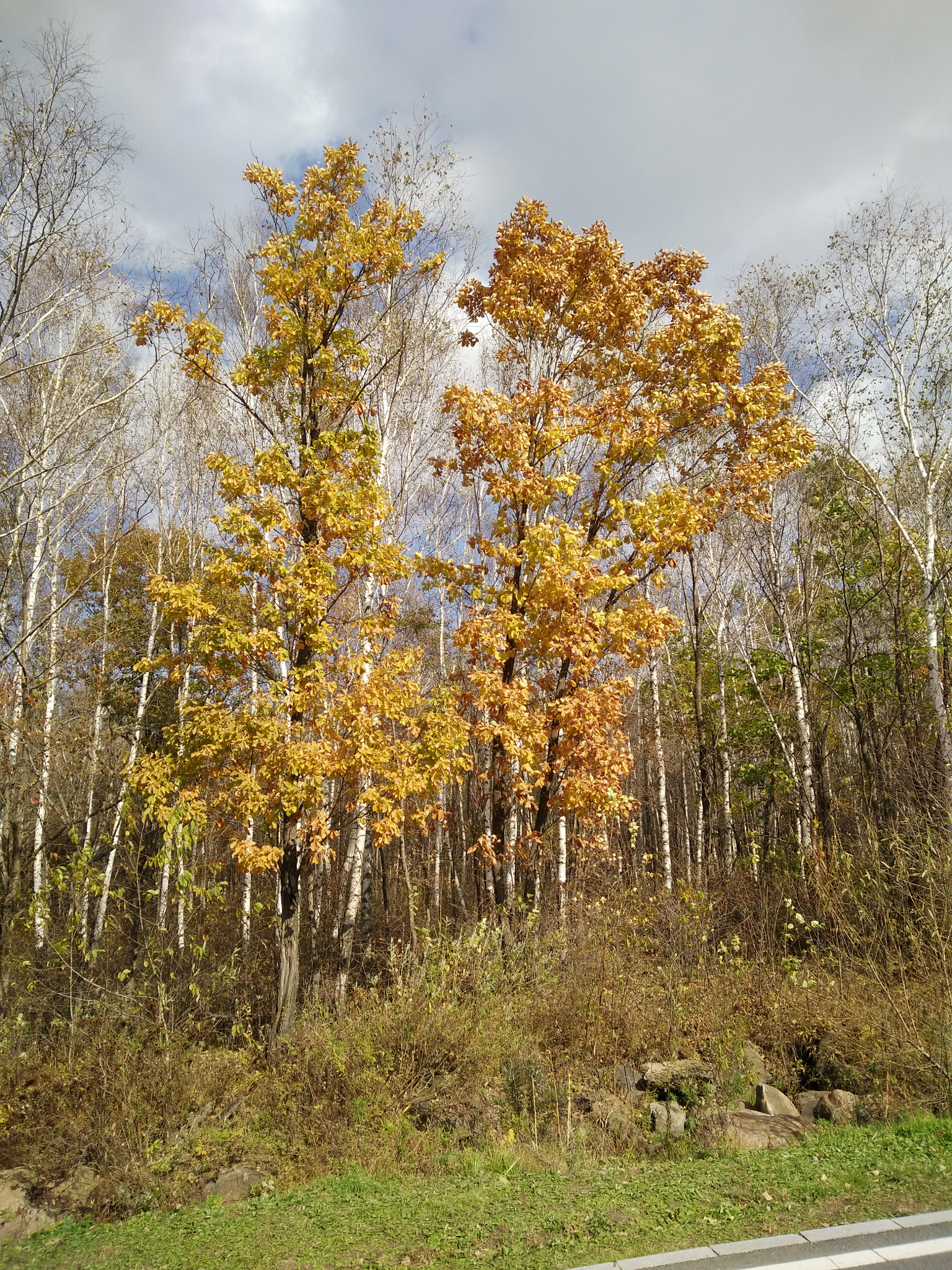 OPPO R7SM sample photo