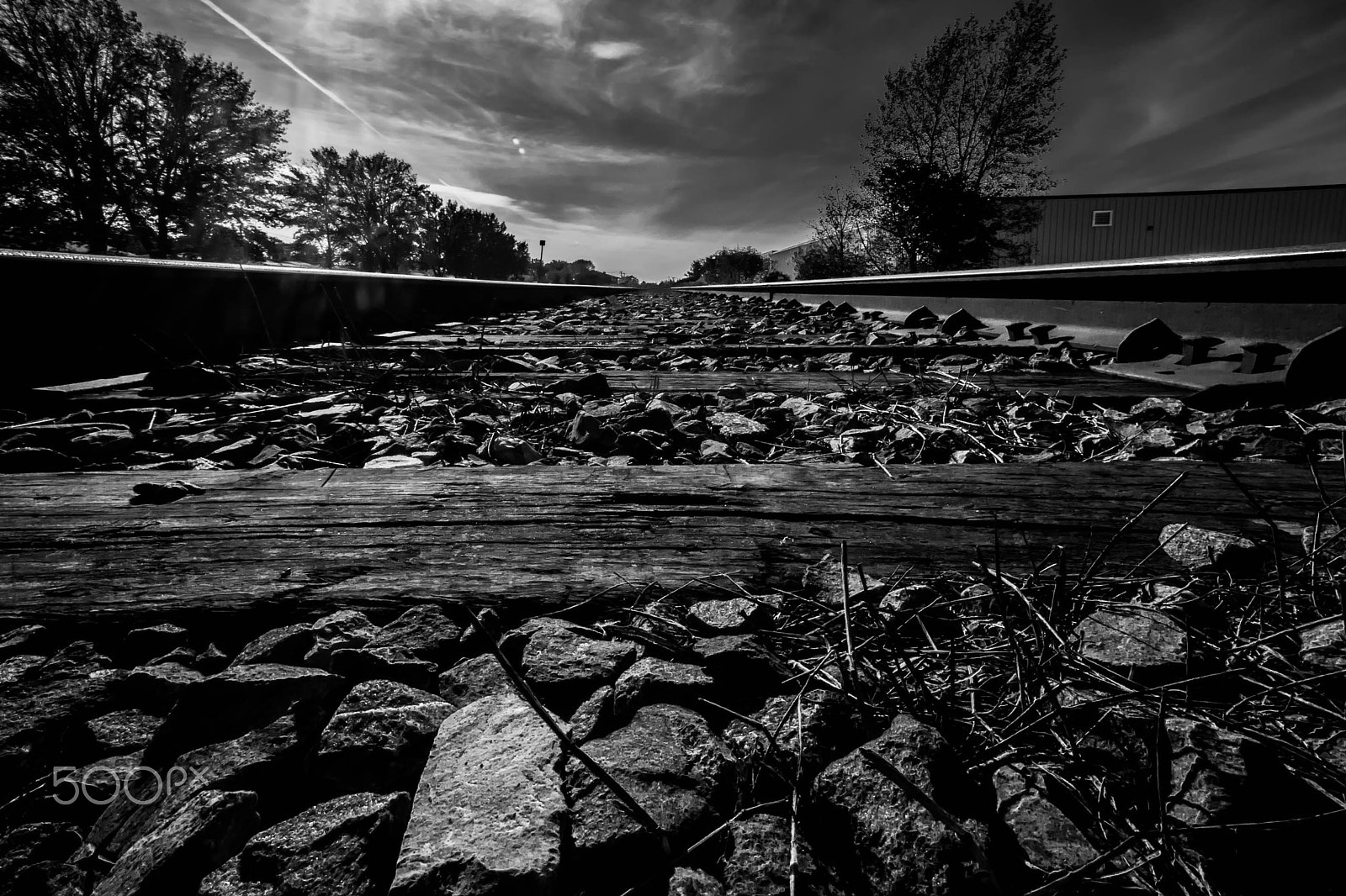 Canon EOS 650D (EOS Rebel T4i / EOS Kiss X6i) sample photo. Ras le gravier photography