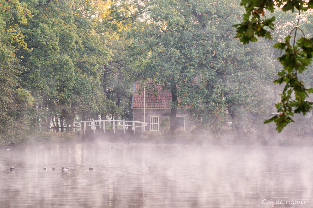 Sony SLT-A77 sample photo. A cold autumn morning photography