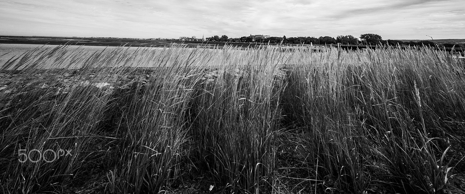 Canon EOS 650D (EOS Rebel T4i / EOS Kiss X6i) sample photo. Buissonneaux photography