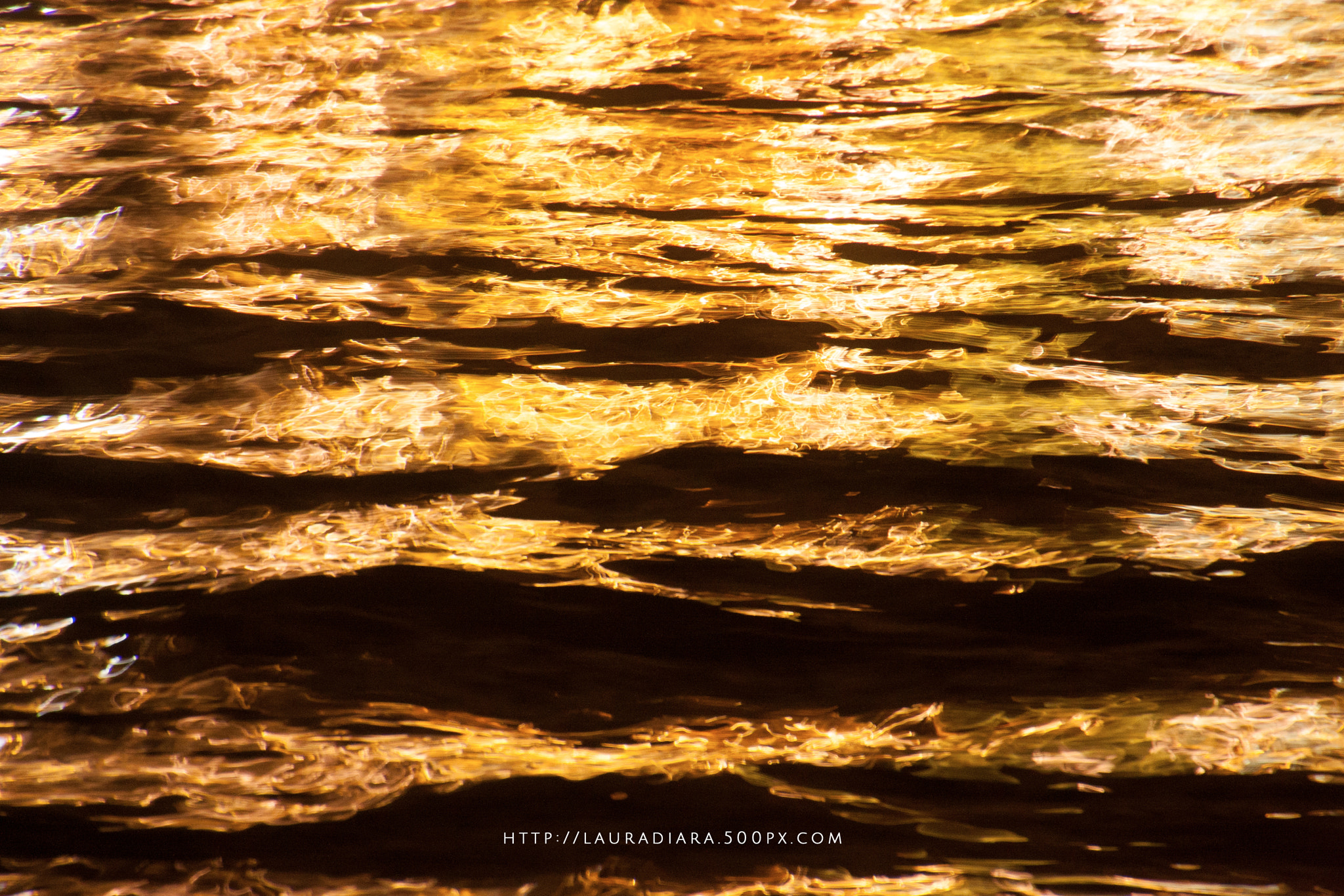 Canon EOS 40D sample photo. Venice water at sunset photography