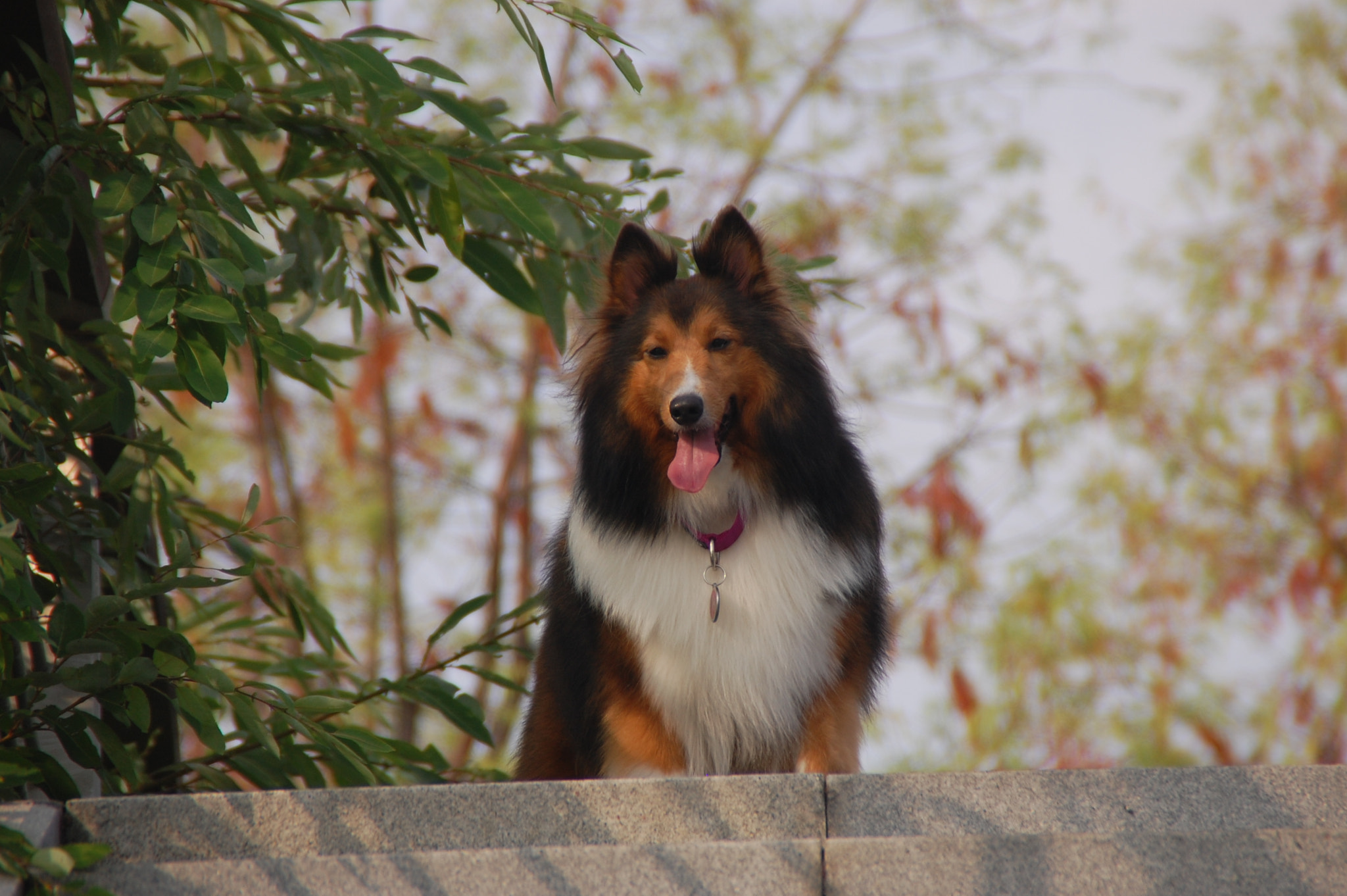 Nikon D40 sample photo. Shot beside the thousand island lake photography