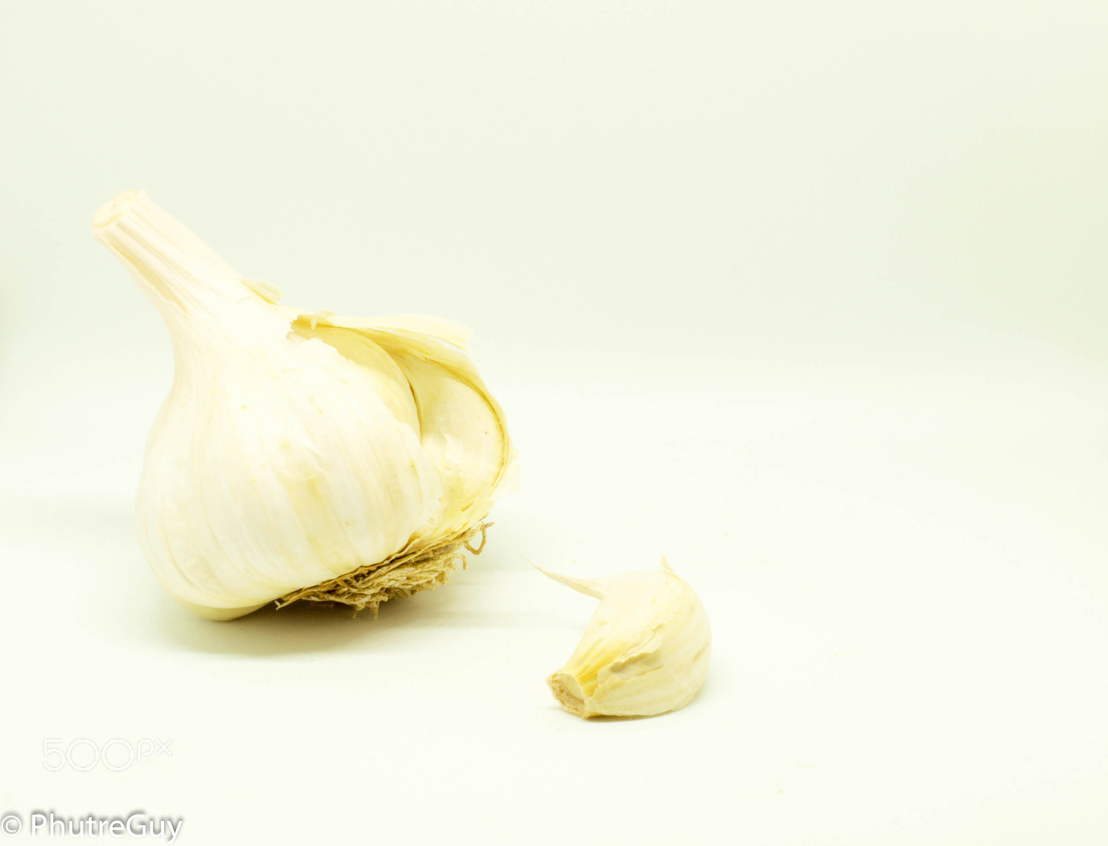 Olympus E-520 (EVOLT E-520) sample photo. Garlic photography