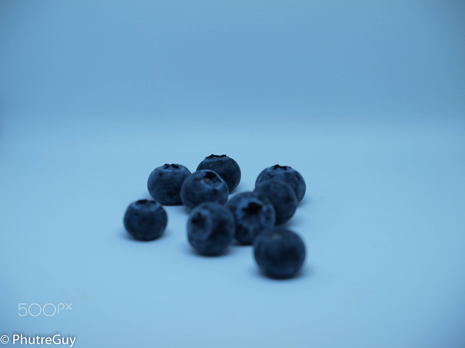 Olympus E-520 (EVOLT E-520) sample photo. Blueberries photography