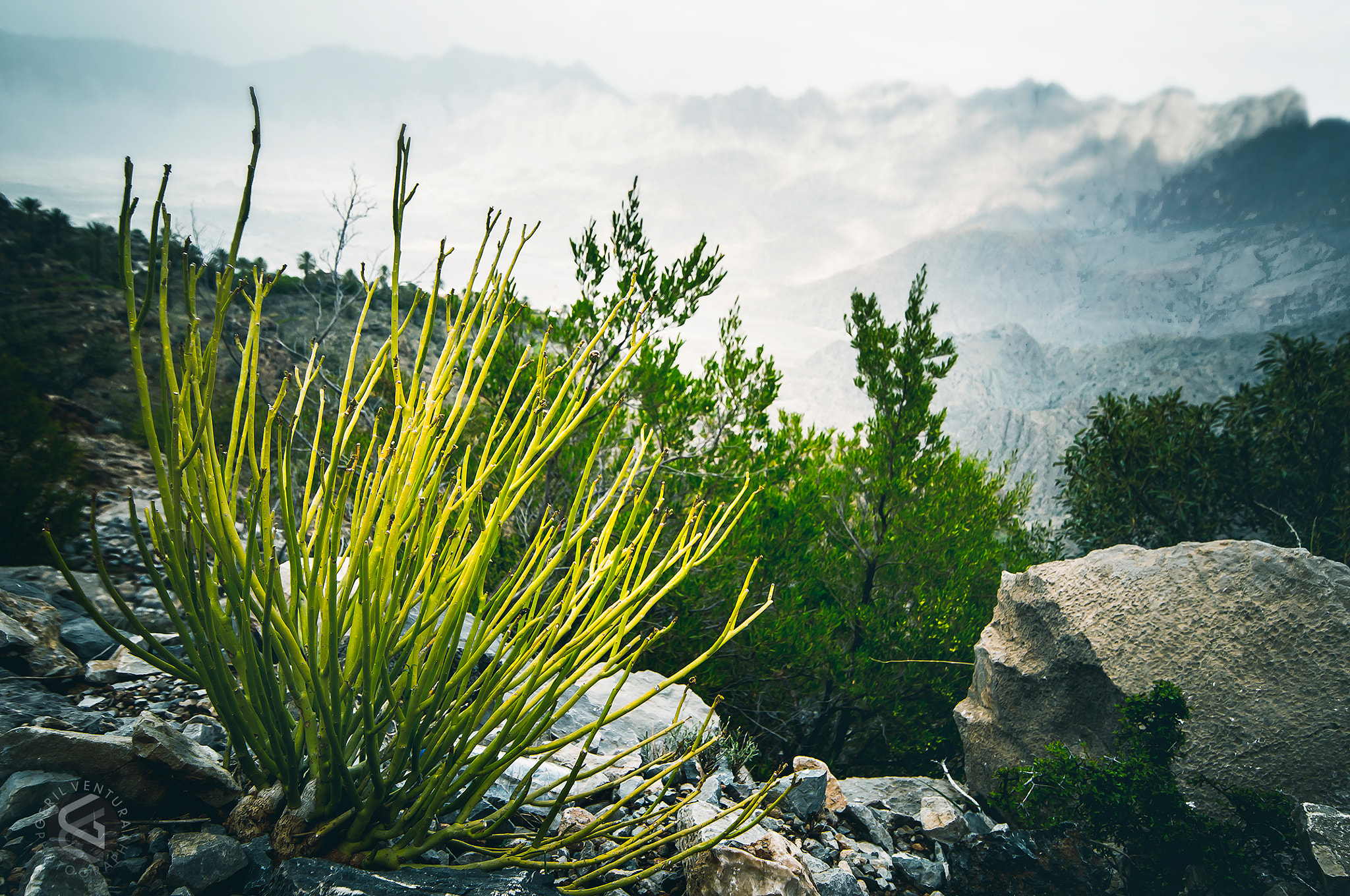 Nikon D300 sample photo. Oman landscape photography