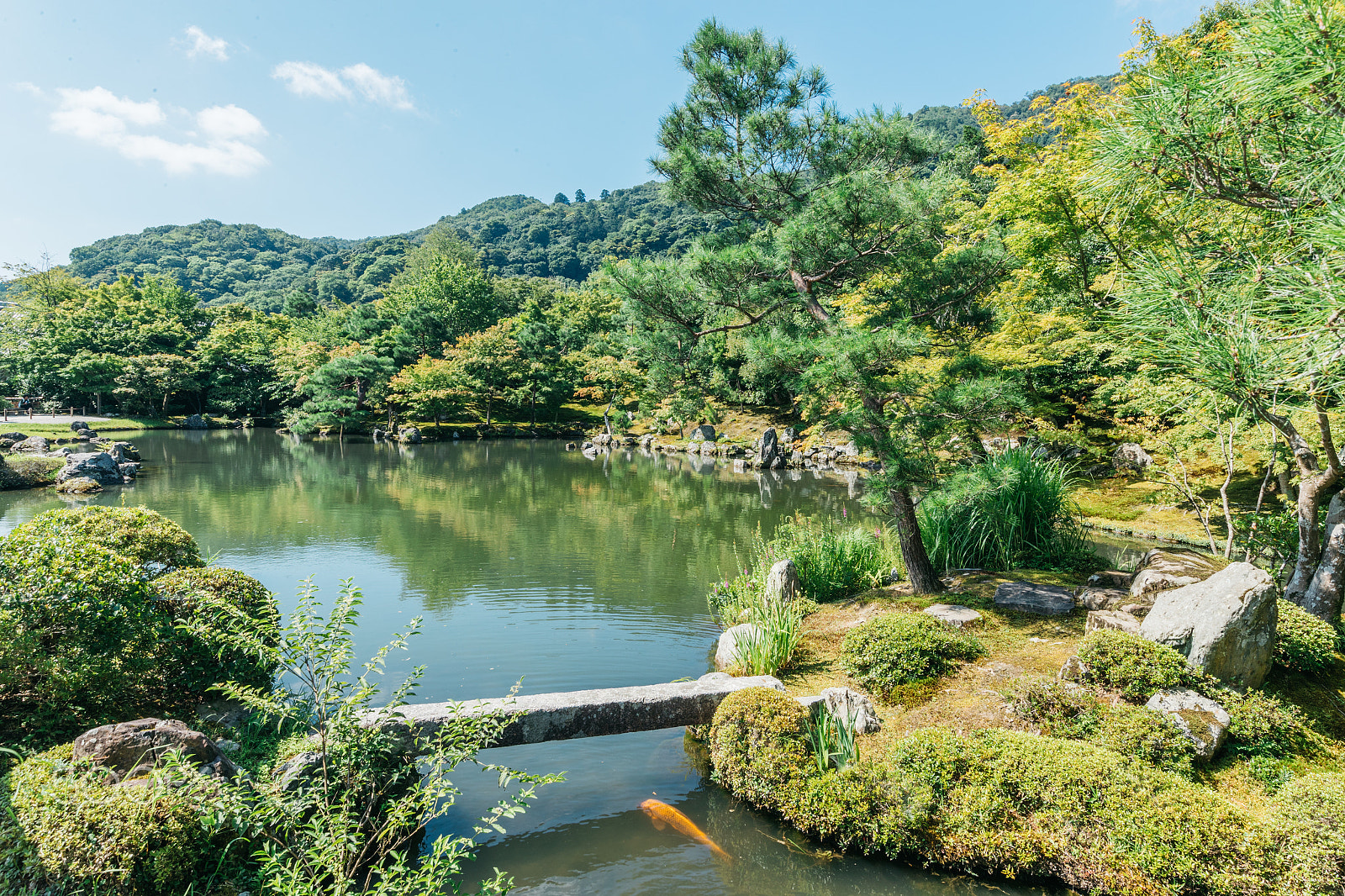 Canon EF 11-24mm F4L USM sample photo. Tenryuji garden photography