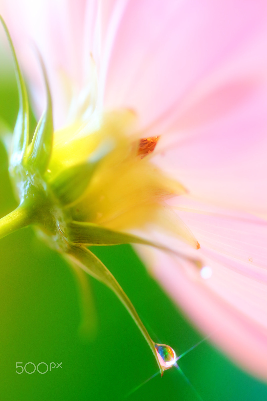 Canon EOS 700D (EOS Rebel T5i / EOS Kiss X7i) sample photo. Drops of seven colors photography
