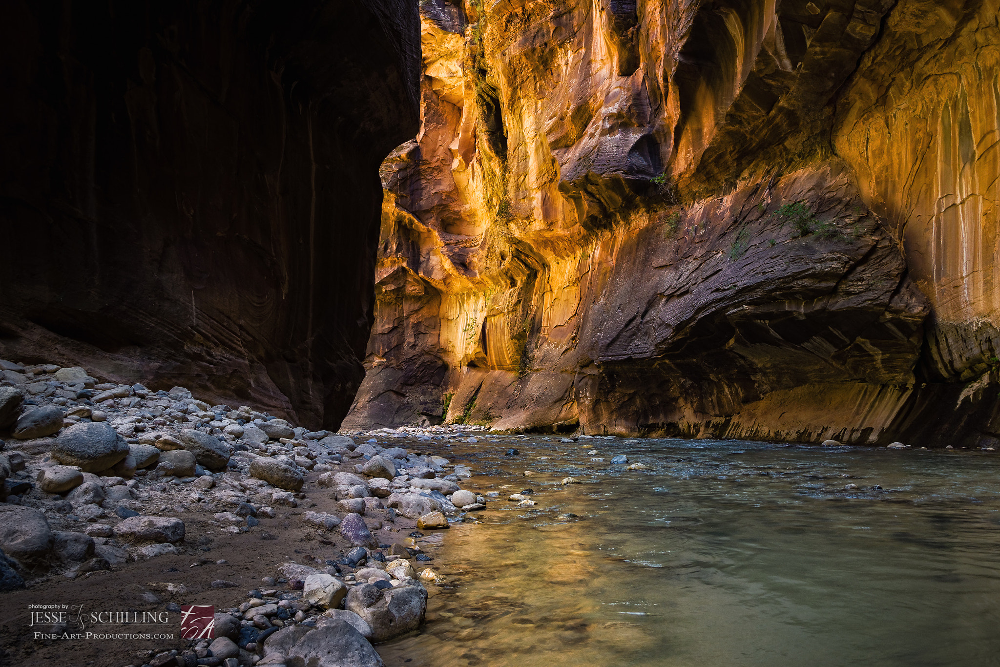 Sony a6000 + Canon EF-S 17-55mm F2.8 IS USM sample photo. The narrows sun reflected canyon photography