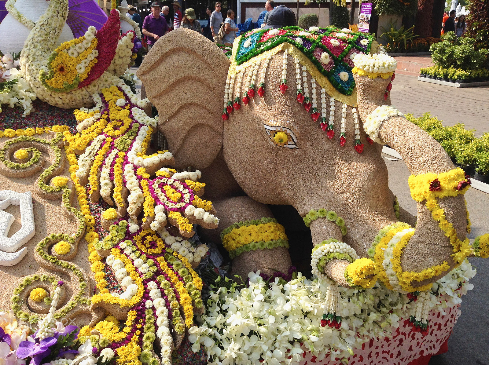 iPad mini back camera 3.3mm f/2.4 sample photo. Chiang mai, thailand - 7 february 2015: flower festival photography