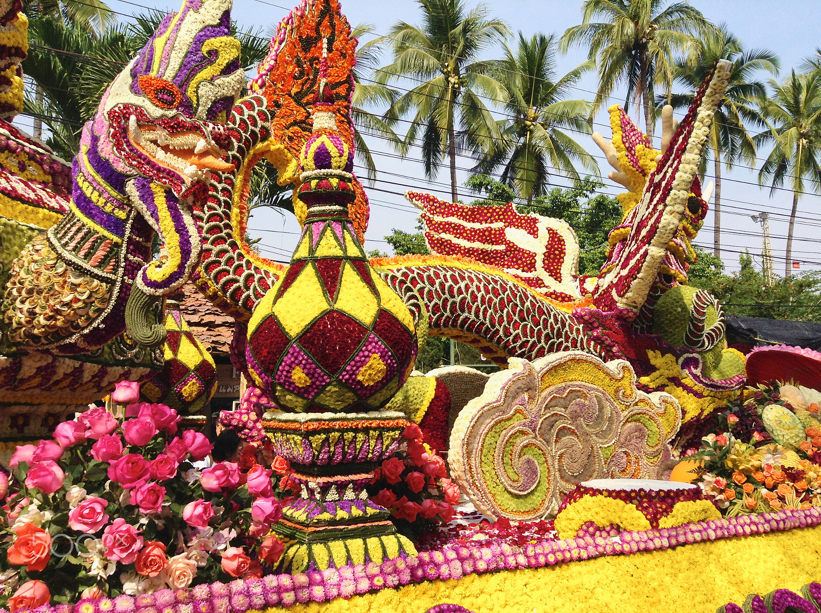 iPad mini back camera 3.3mm f/2.4 sample photo. Chiang mai, thailand - 7 february 2015: flower festival photography