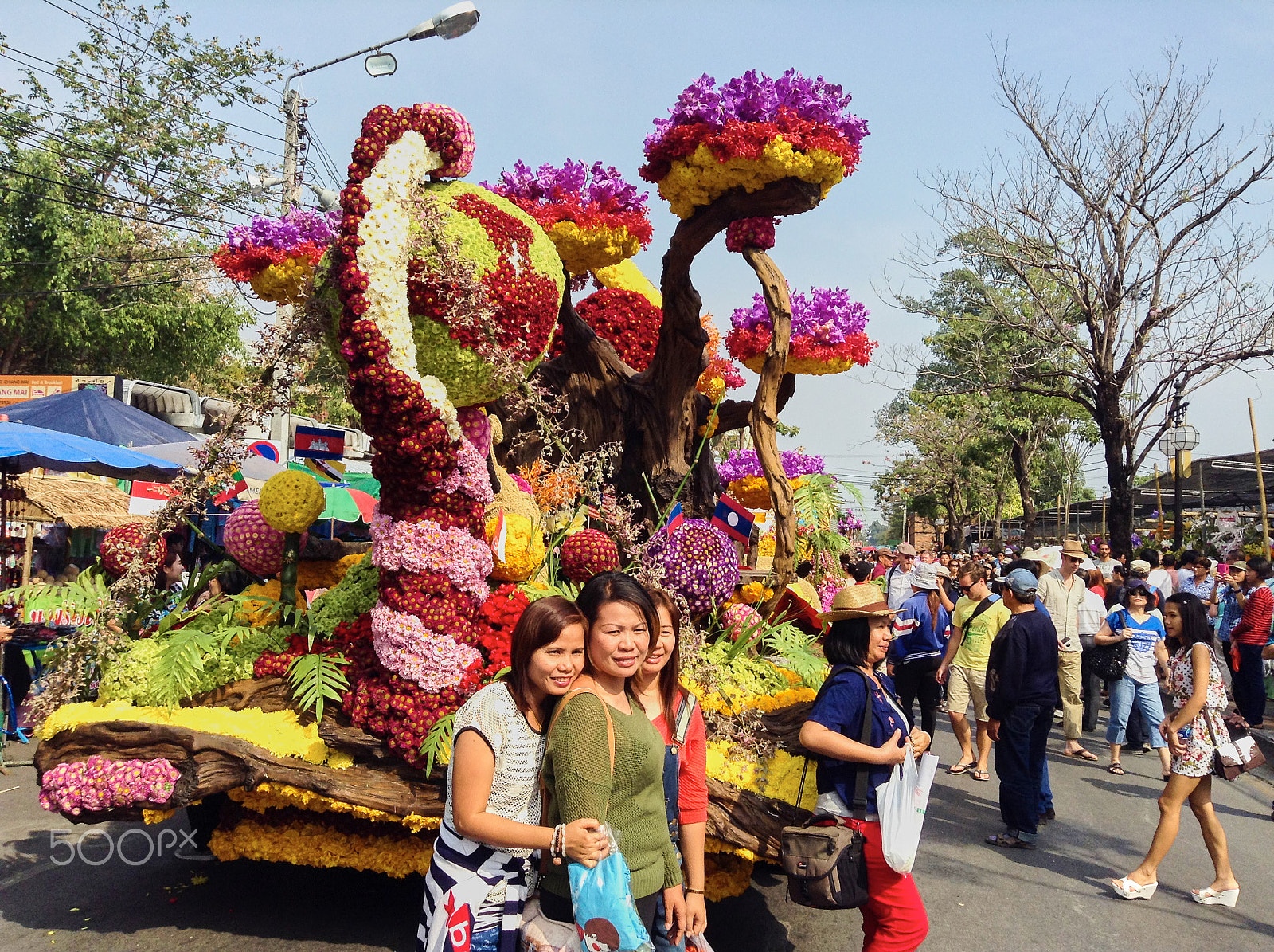 iPad mini back camera 3.3mm f/2.4 sample photo. Chiang mai, thailand - 7 february 2015: flower festival photography