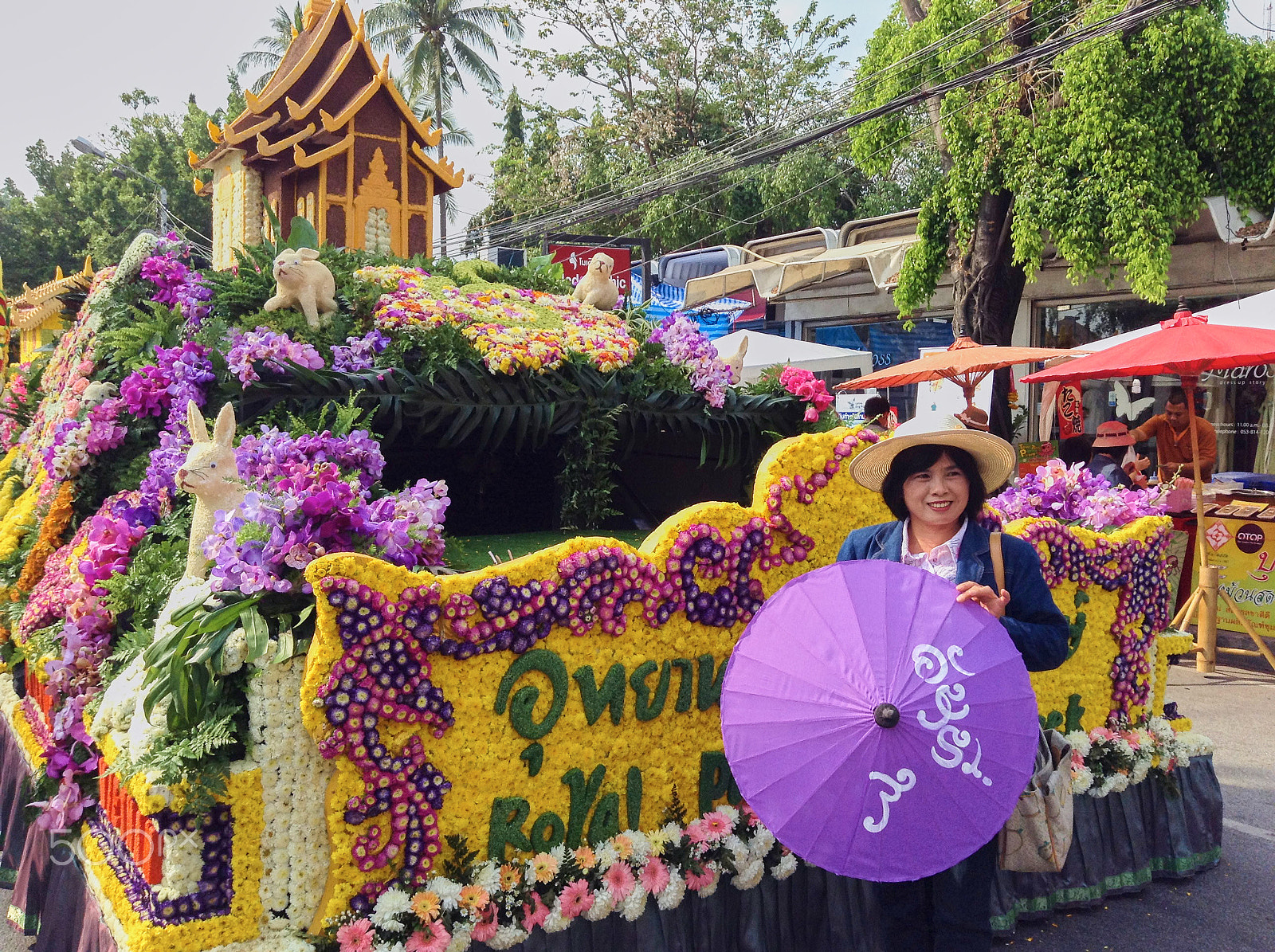 iPad mini back camera 3.3mm f/2.4 sample photo. Chiang mai, thailand - 7 february 2015: flower festival photography