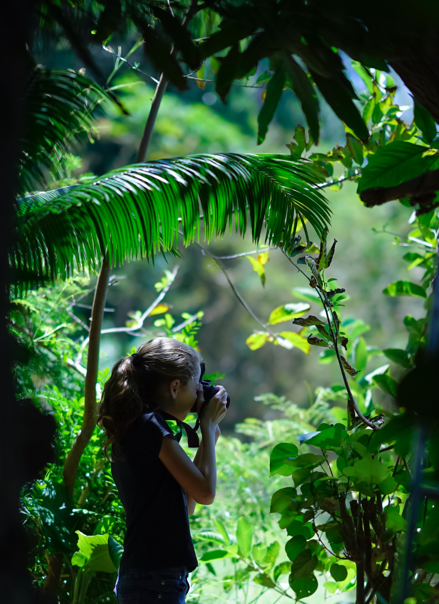 Sony a7S sample photo. Tropical garden photography