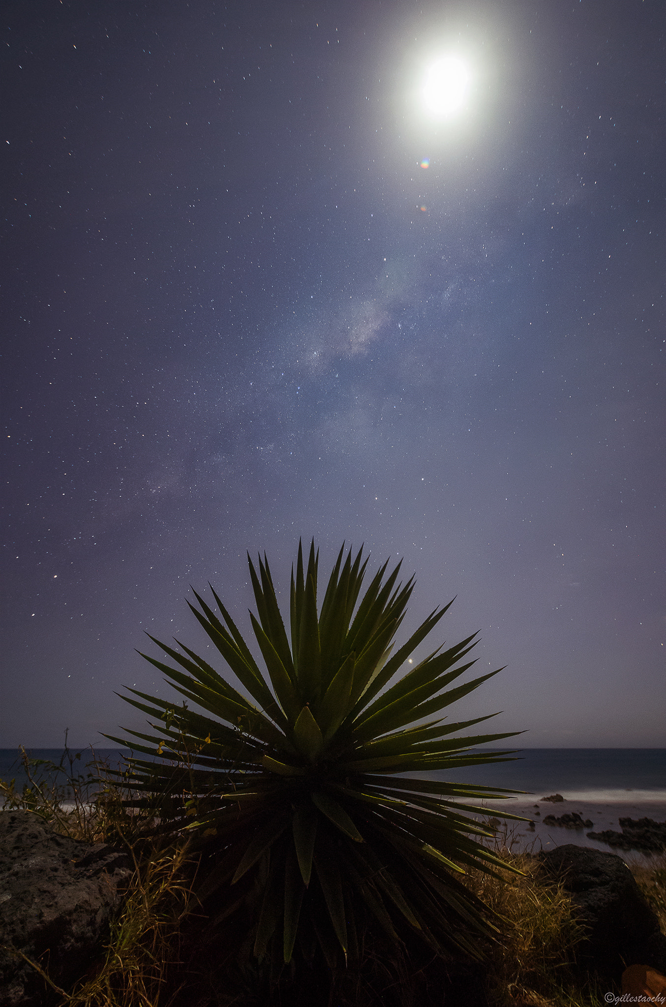 Samyang 14mm F2.8 ED AS IF UMC sample photo. Moon shining photography