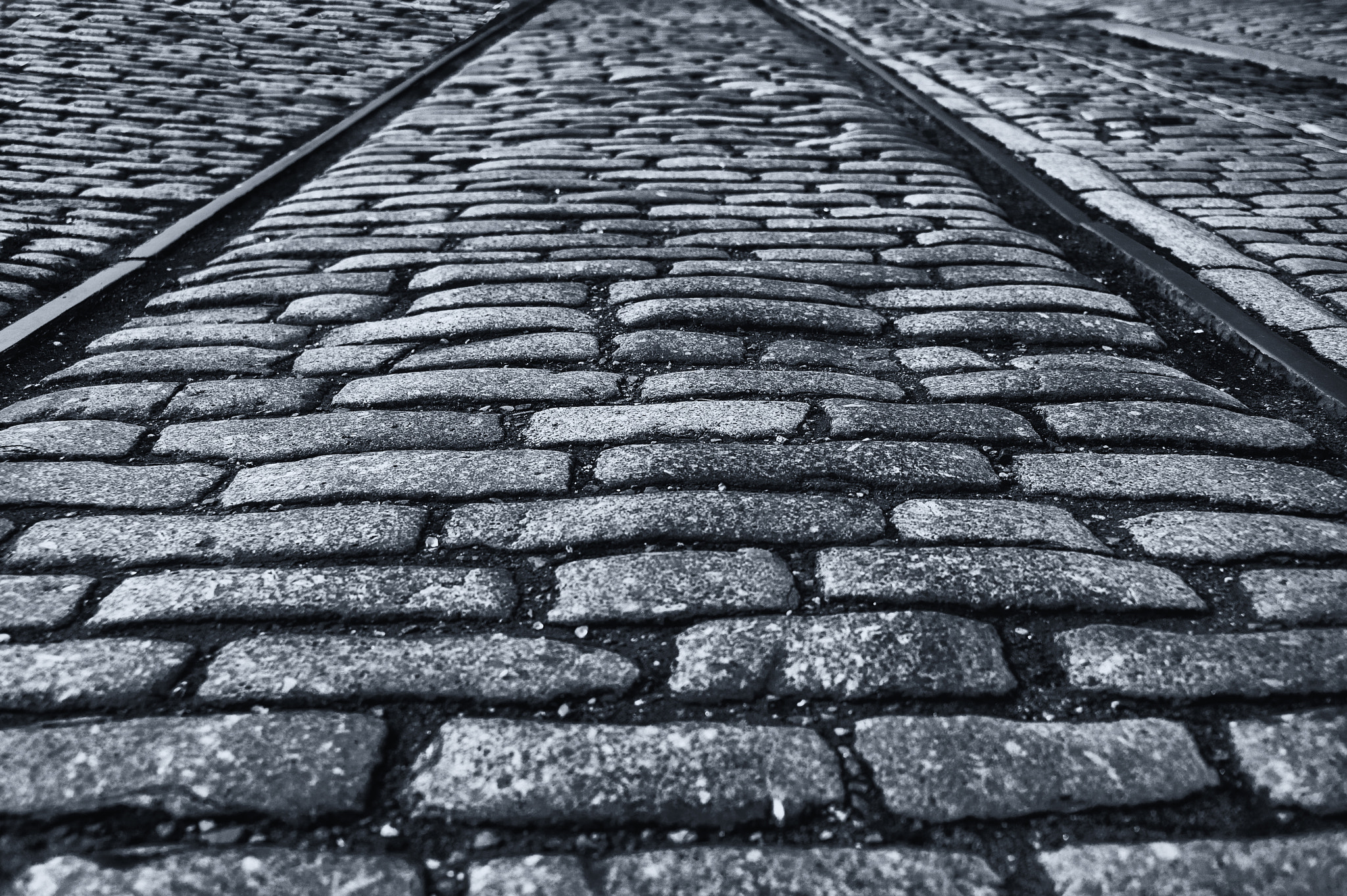 Nikon D3 sample photo. Along the right lines photography