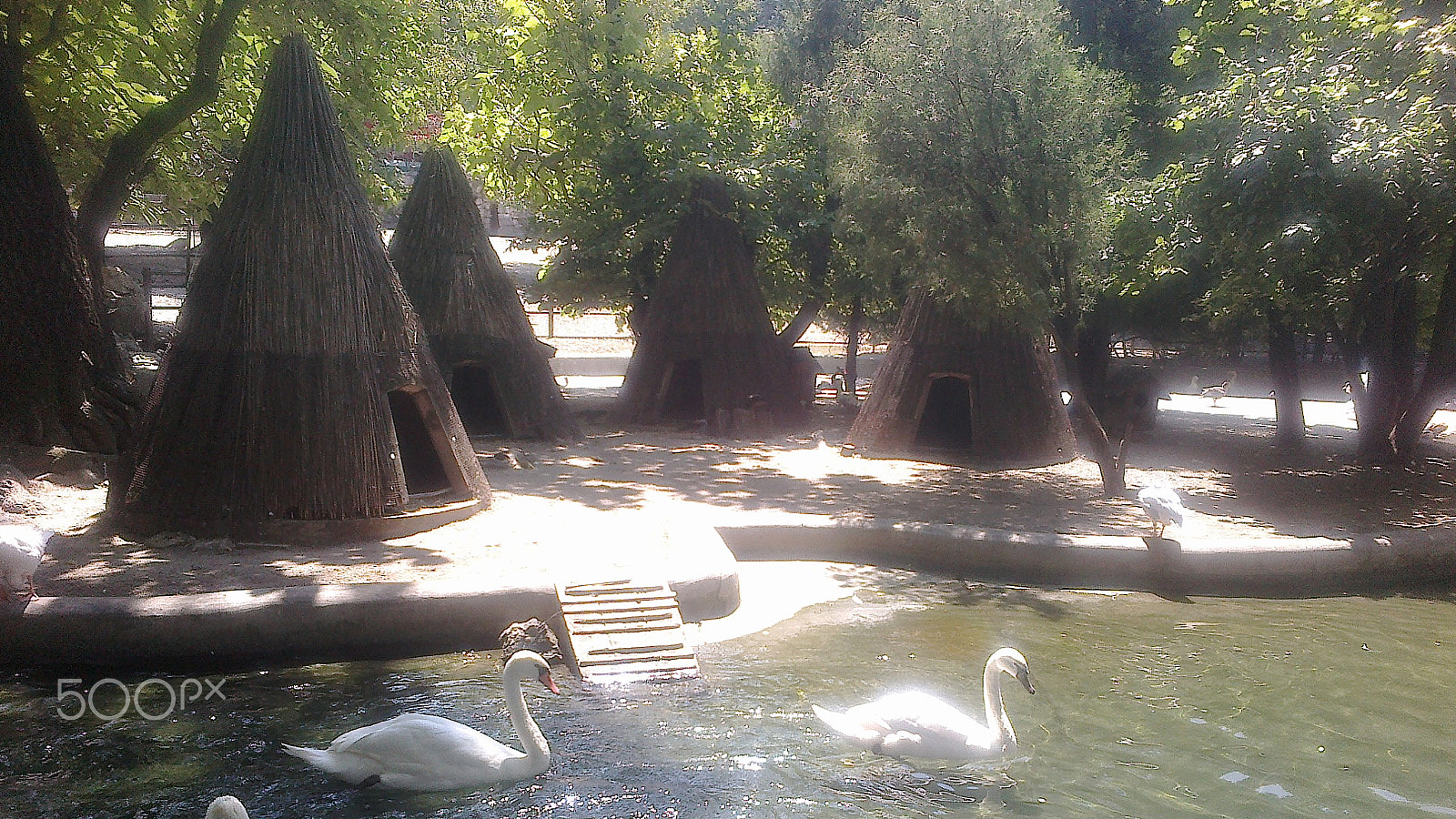 Nokia 500 sample photo. Zoološki vrt, beograd, srbija photography