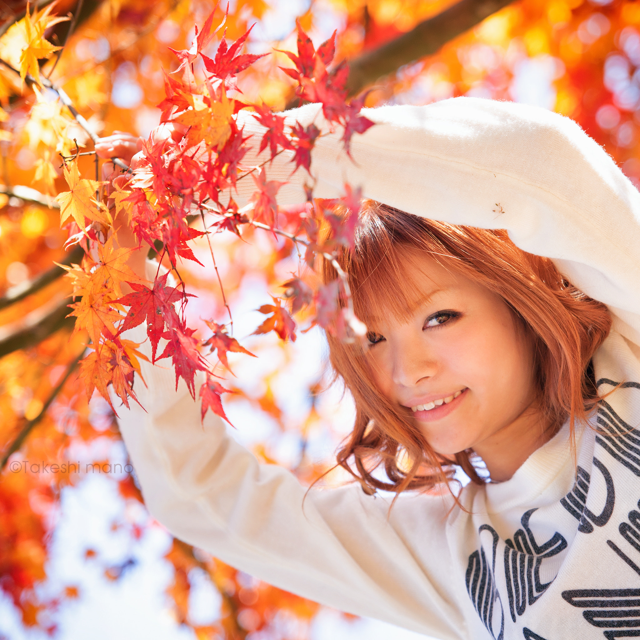 Nikon D3 sample photo. Autumn colors photography