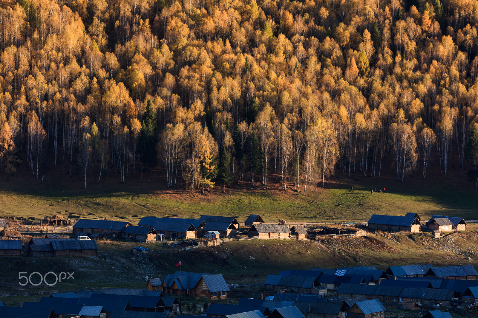 Canon EF 300mm F2.8L IS USM sample photo. Hemu village photography
