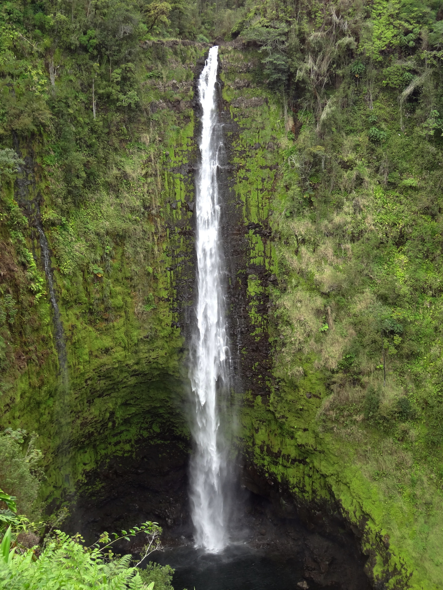 Sony DSC-WX9 sample photo. Akaka falls photography