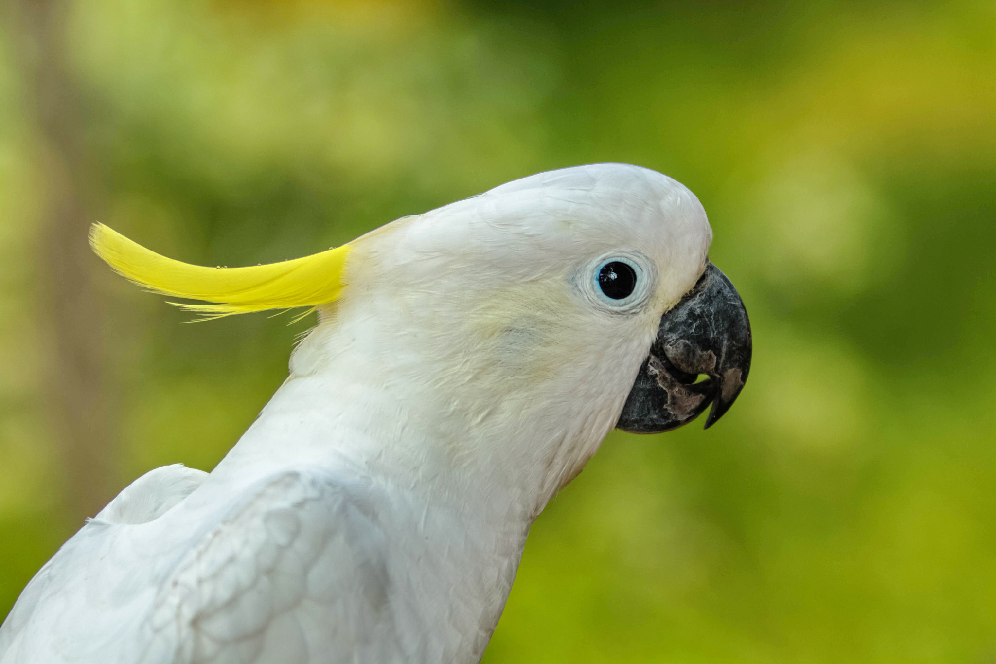 Canon EF 70-200mm F2.8L USM sample photo. Img photography