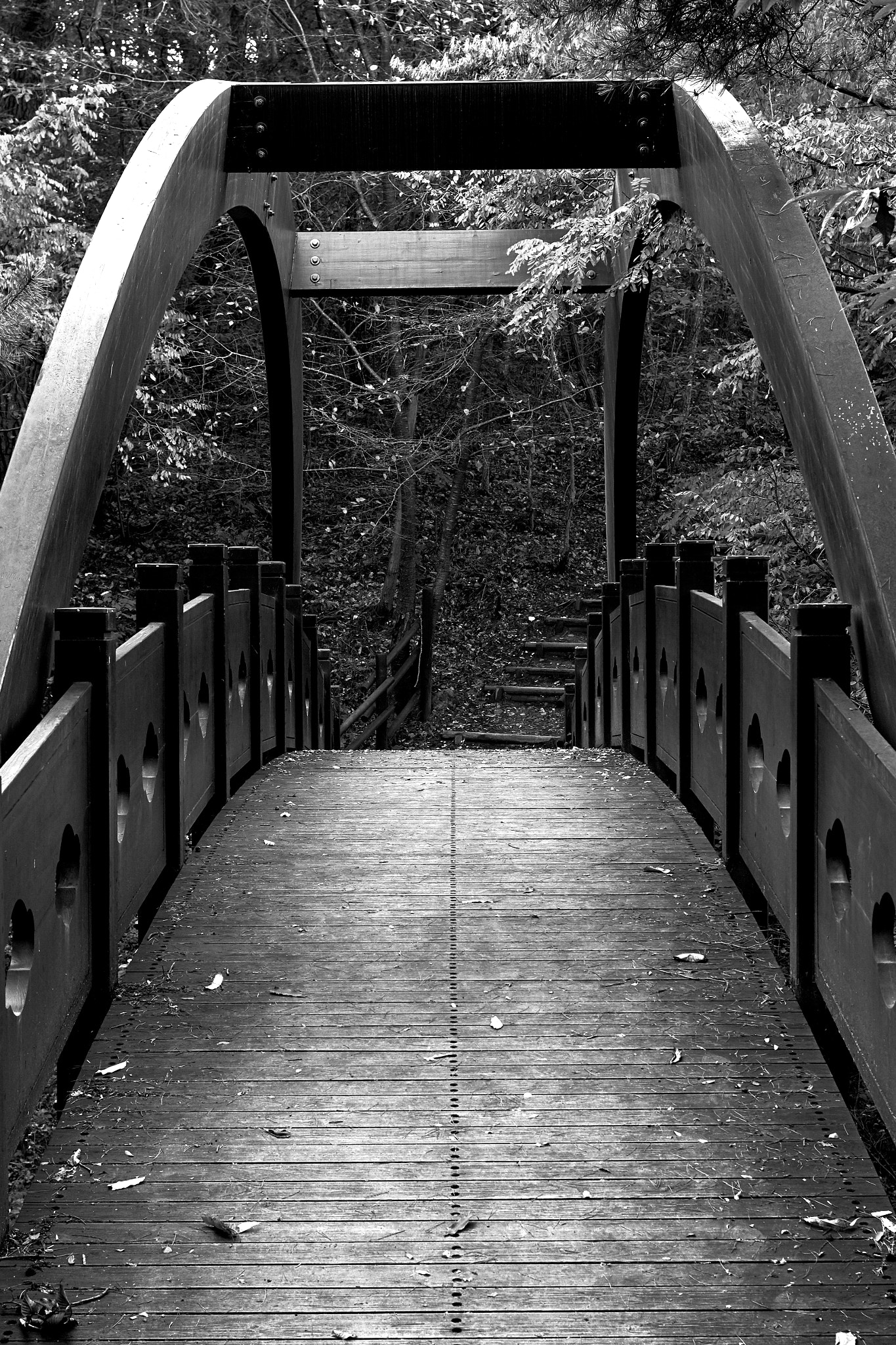 Canon EF 40mm F2.8 STM sample photo. Bridge to andong photography