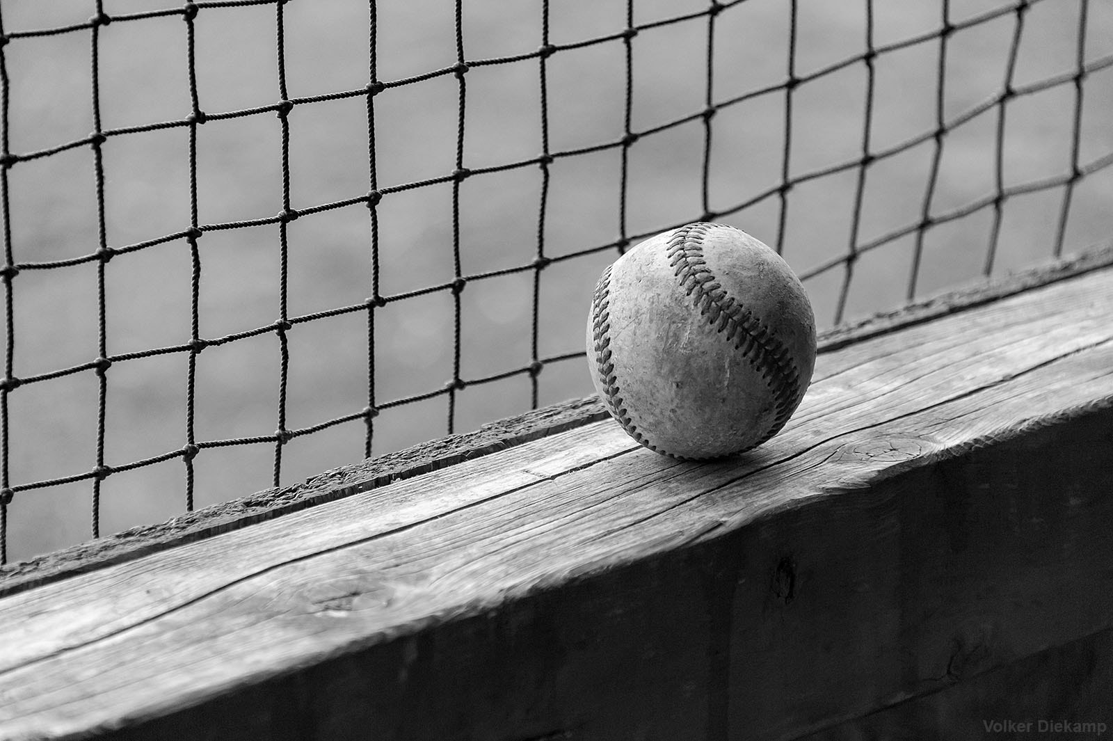 Nikon D3 sample photo. Waiting in the dugout photography