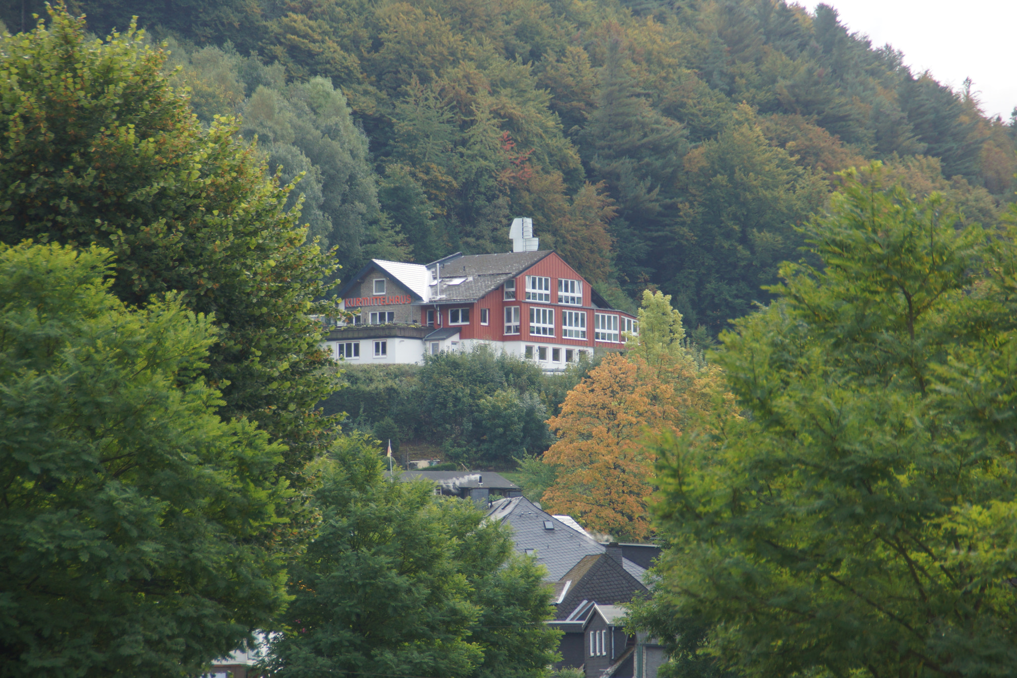 Sony DT 18-200mm F3.5-6.3 sample photo. Dsc photography