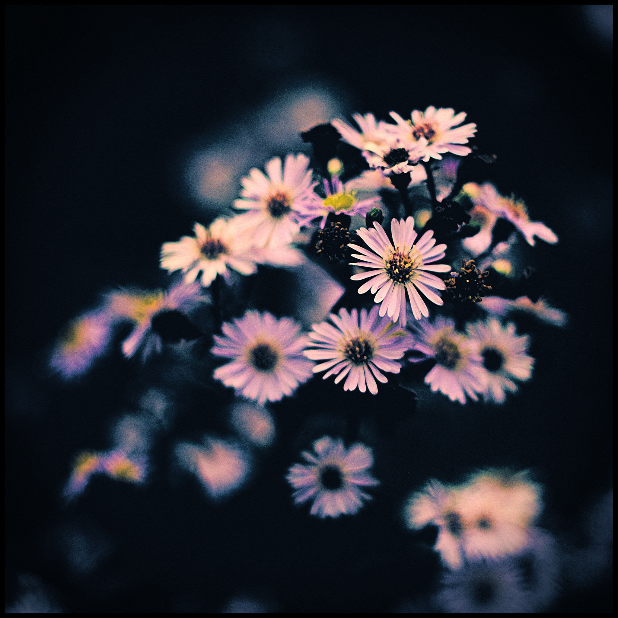 Canon EF 35-80mm f/4-5.6 sample photo. Impression fugace photography