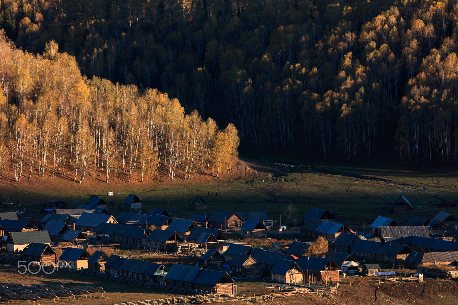 Canon EF 300mm F2.8L IS USM sample photo. Hemu village photography