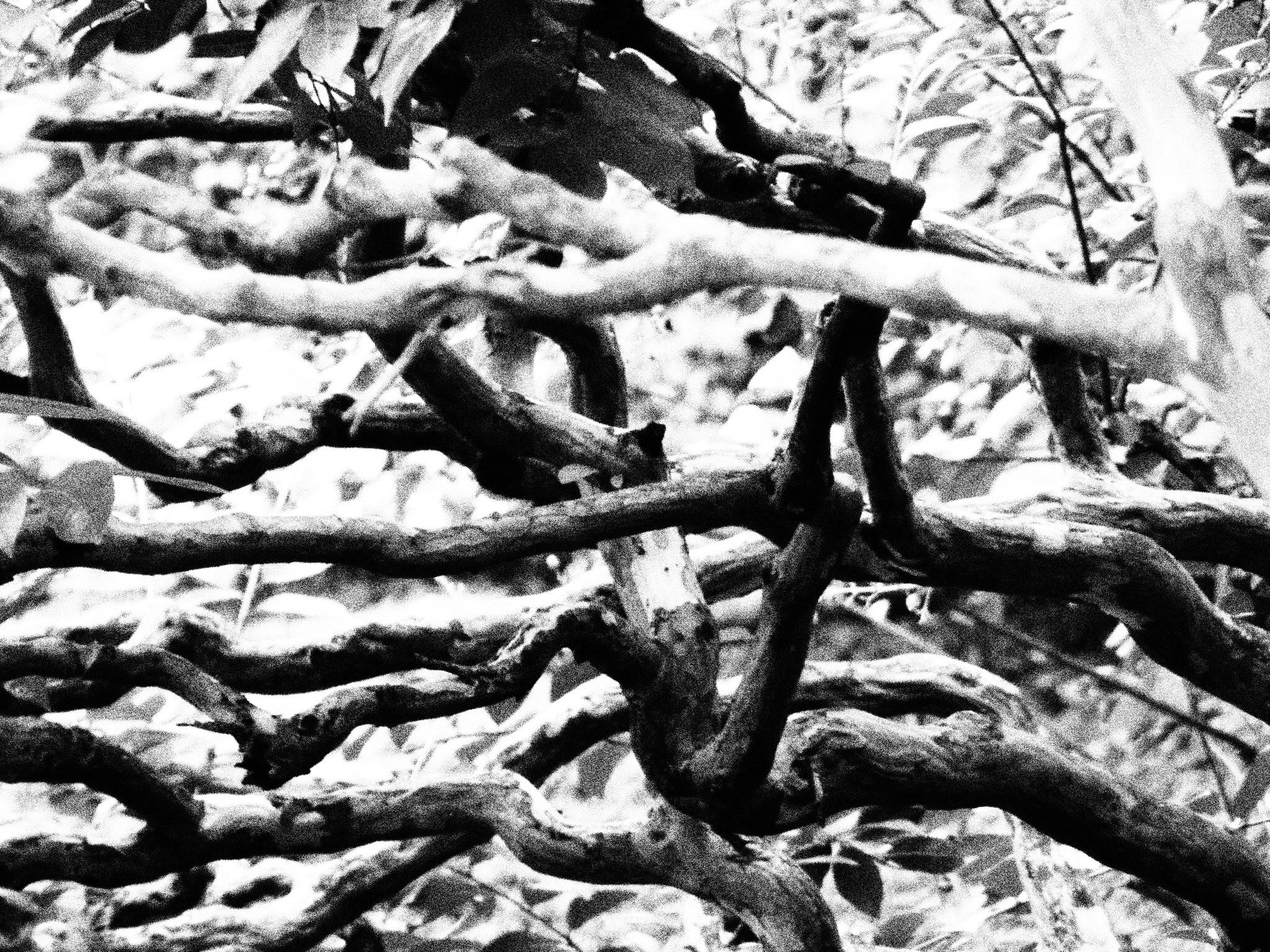 Panasonic Lumix DMC-ZS20 (Lumix DMC-TZ30) sample photo