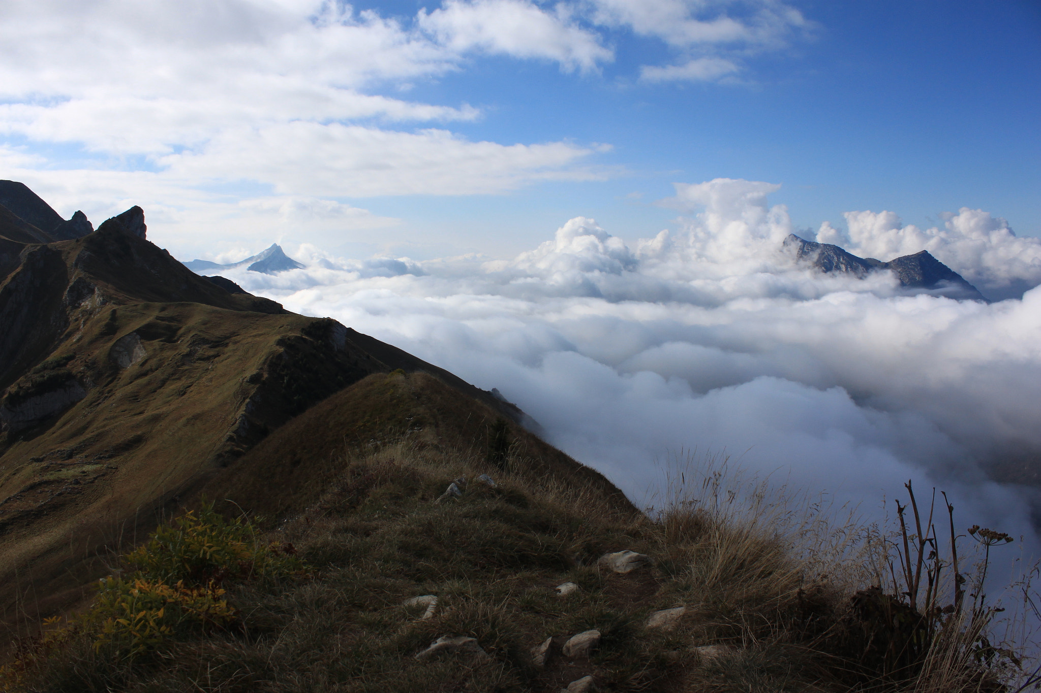 Canon EOS 500D (EOS Rebel T1i / EOS Kiss X3) sample photo. Above the clouds photography