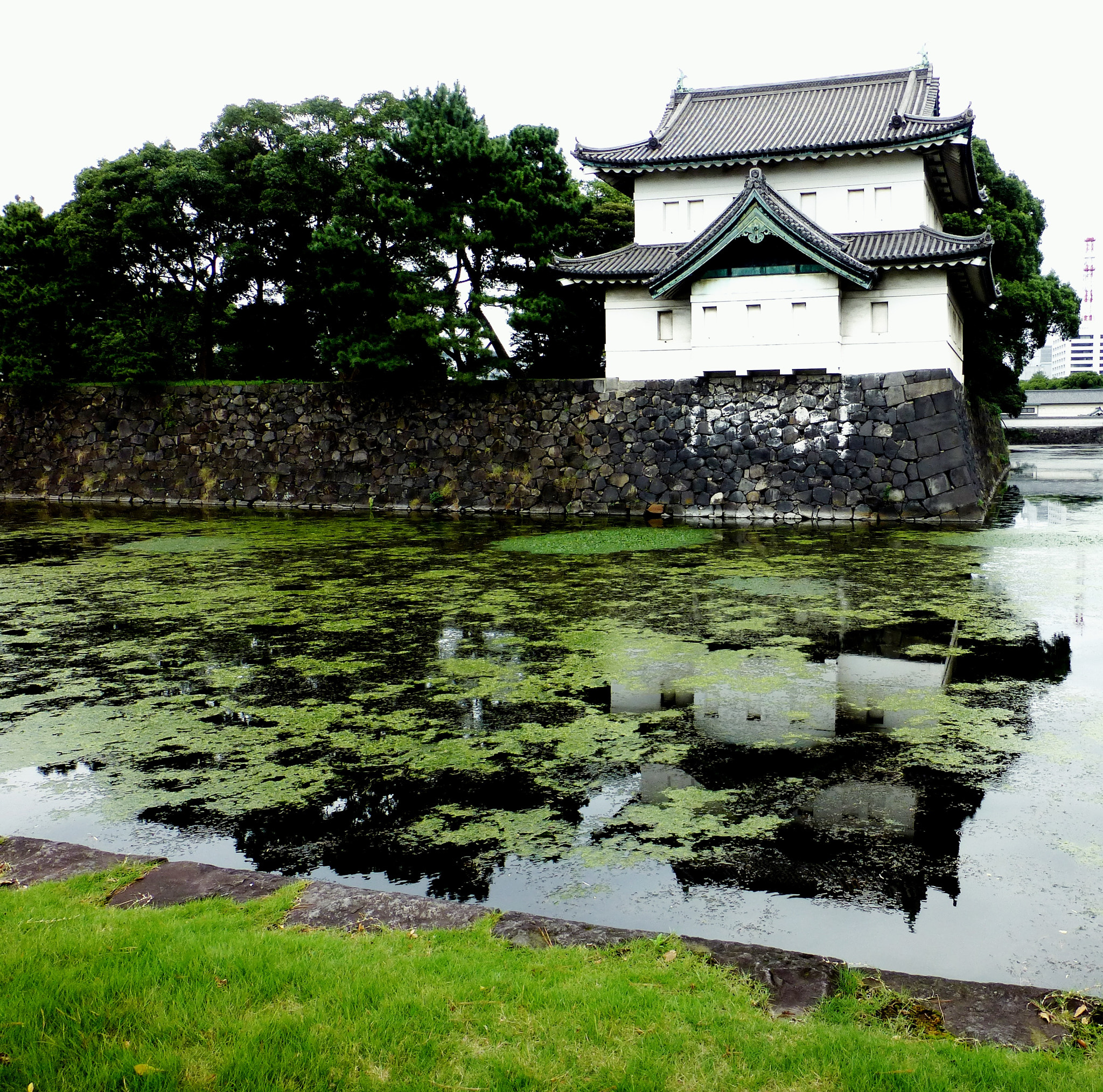 Panasonic Lumix DMC-ZS20 (Lumix DMC-TZ30) sample photo. Tokyo imperial palace photography