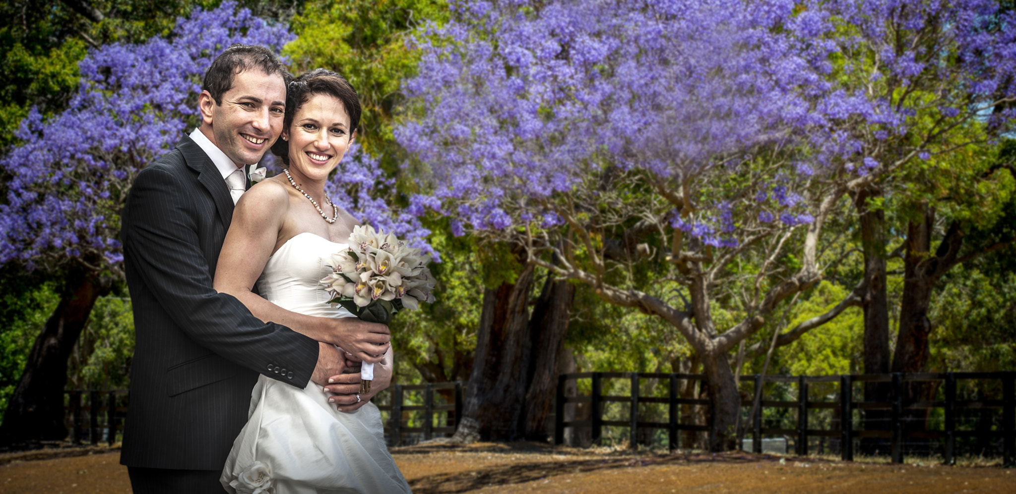 Nikon D4 sample photo. "lavender tree " photography