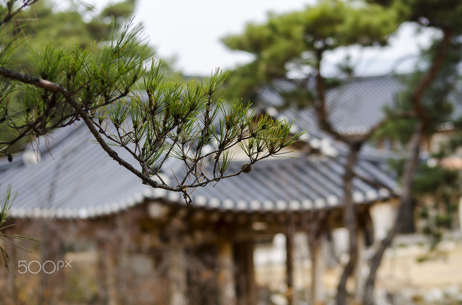 AF Nikkor 70-210mm f/4-5.6D sample photo. Pavilion photography