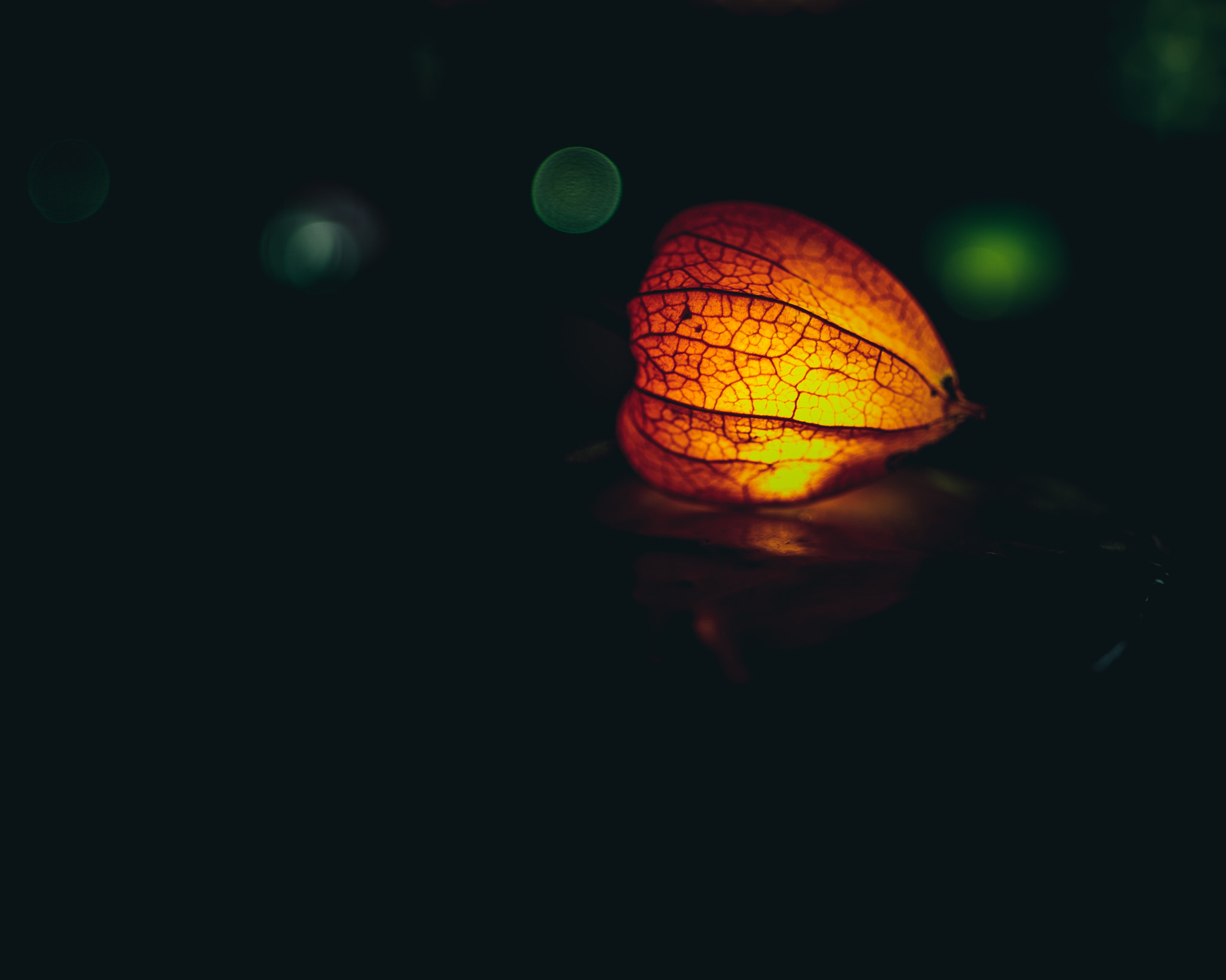 Fujifilm X-T10 + Fujifilm XF 16mm F1.4 R WR sample photo. Ember photography