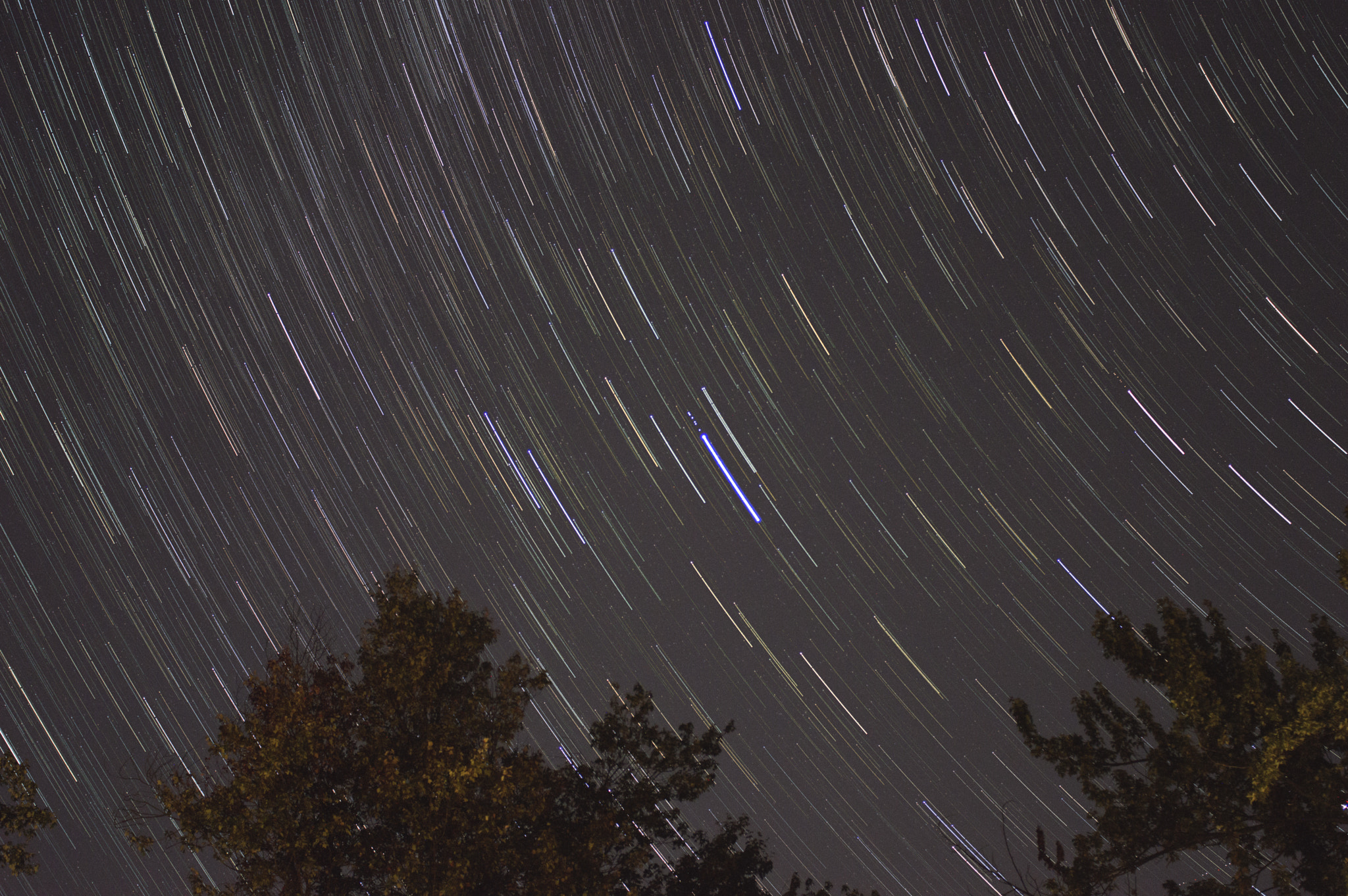 Nikon D3200 sample photo. These star trails photo was taken thus past friday at cortlandt manor, ny. photography
