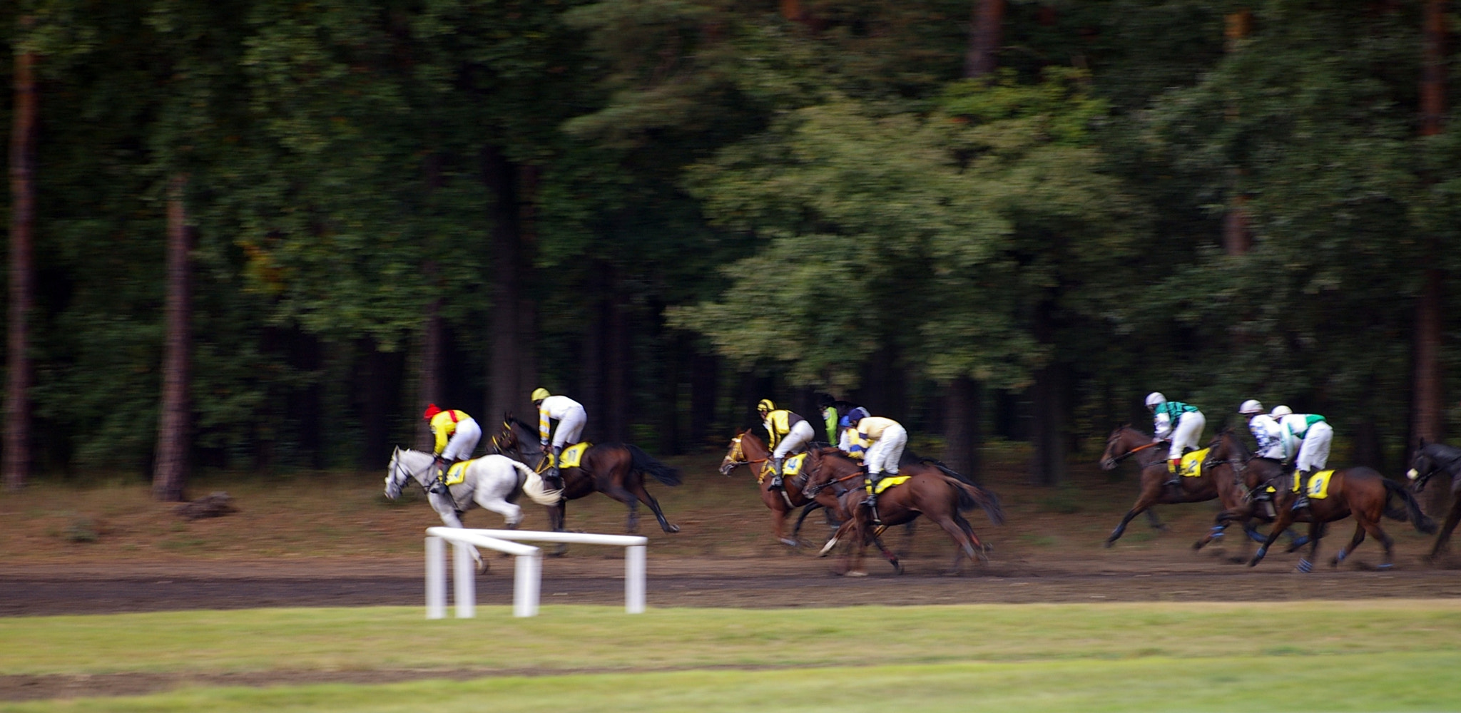 Pentax *ist DL sample photo. VelkÁ pardubickÁ - pardubice photography