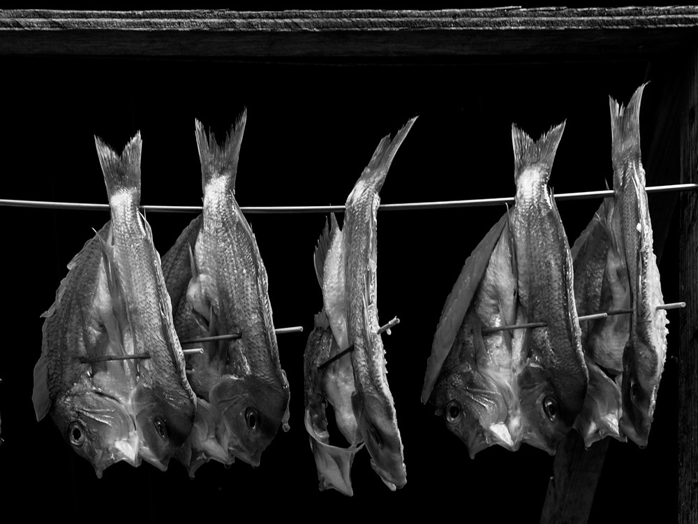 Olympus PEN E-P5 + Olympus M.Zuiko Digital 17mm F1.8 sample photo. Dried fish photography